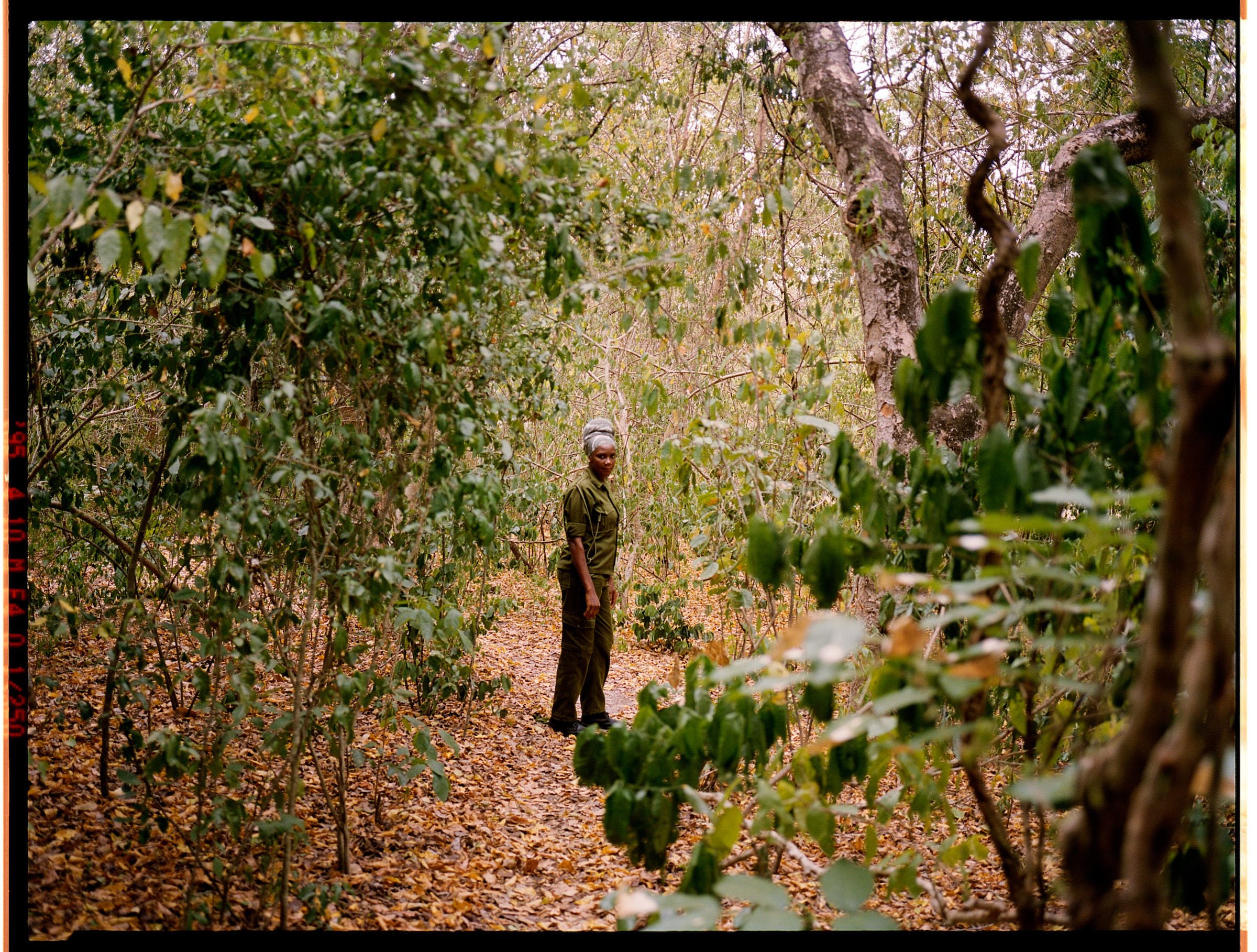 Foto: Petra Kleis &amp; WWF