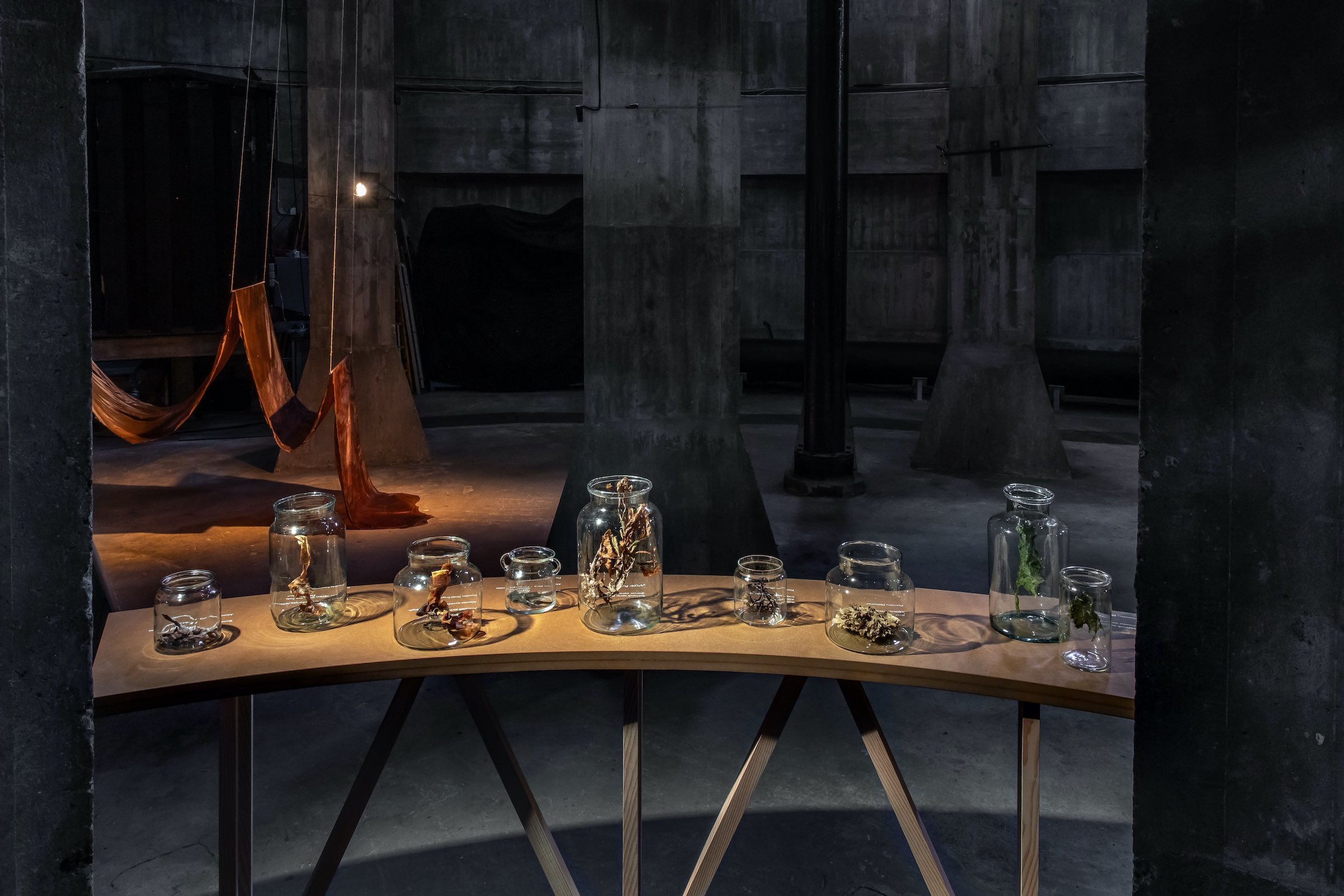 <em>Transformation gennem duft</em>. Emmanuel Martini (duftstoffer inkl. tang absolue). Brønshøj Vandtårn, 2025. Foto: Kirstine Autzen