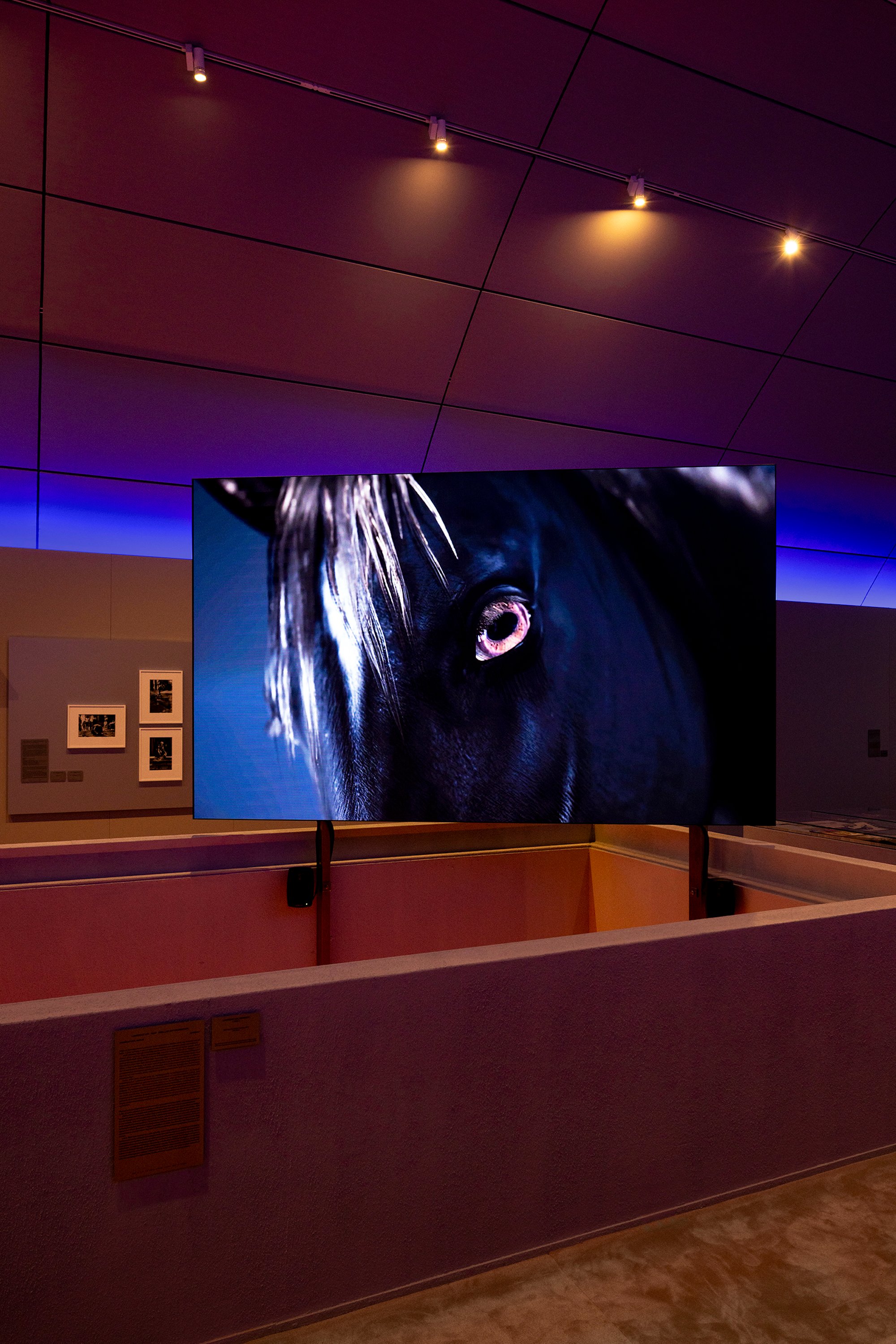 Lawrence Lek, NOX – ‘Day Five: Equine Therapy’, 2023. Video Still. Commissioned by LAS Art Foundation, Berlin. Courtesy of the artist and Sadie Coles HQ. MAPS – Museum of Art in Public Spaces: The Story of Public Art – Dancing in the Streets (On Power), curated by Charlotte Sprogøe. Photo: Jan Søndergaard.