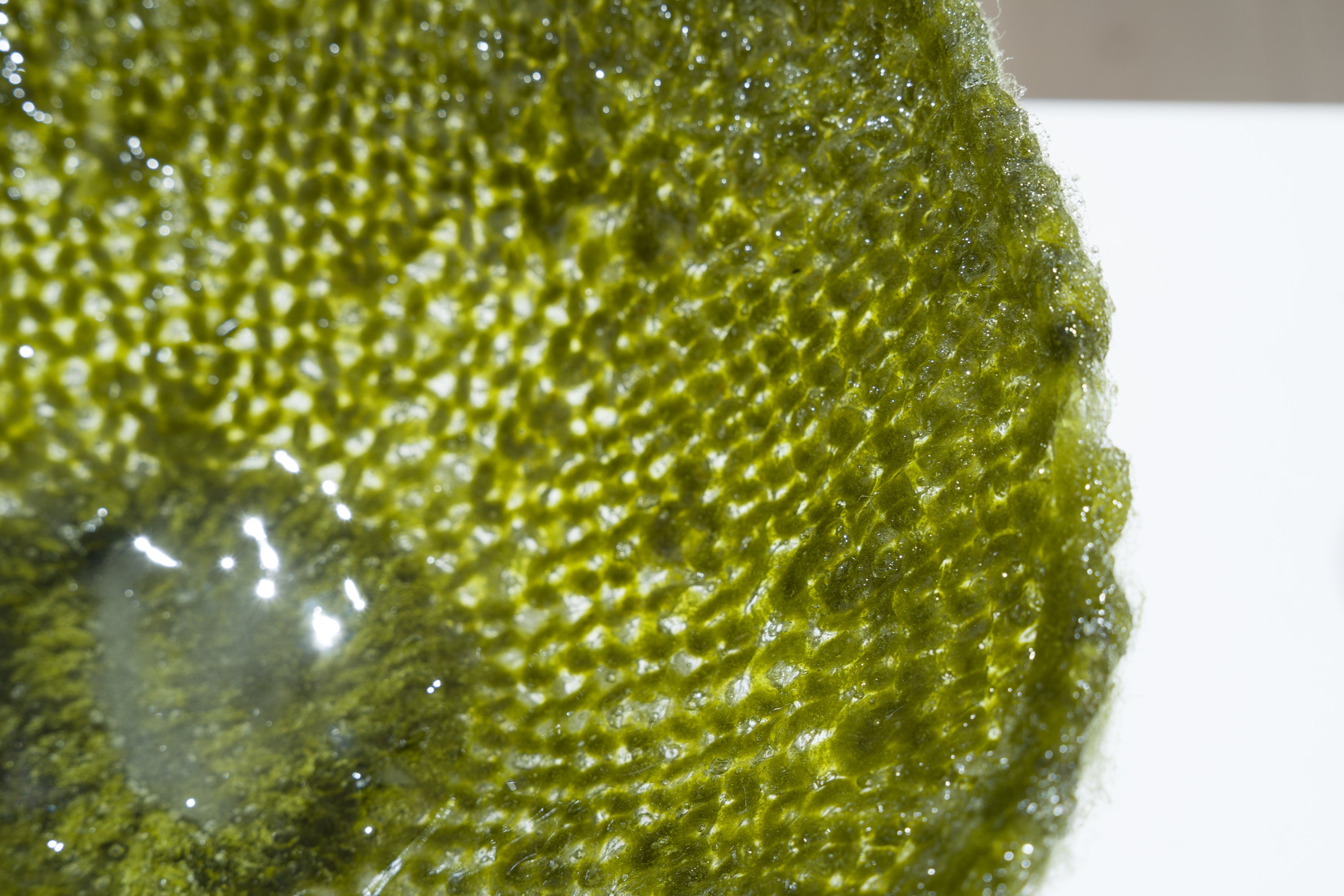 Detalje, TechnoAntiquity#9, Sidsel Søgaard Spas, 2024. Foto: Christian Brems