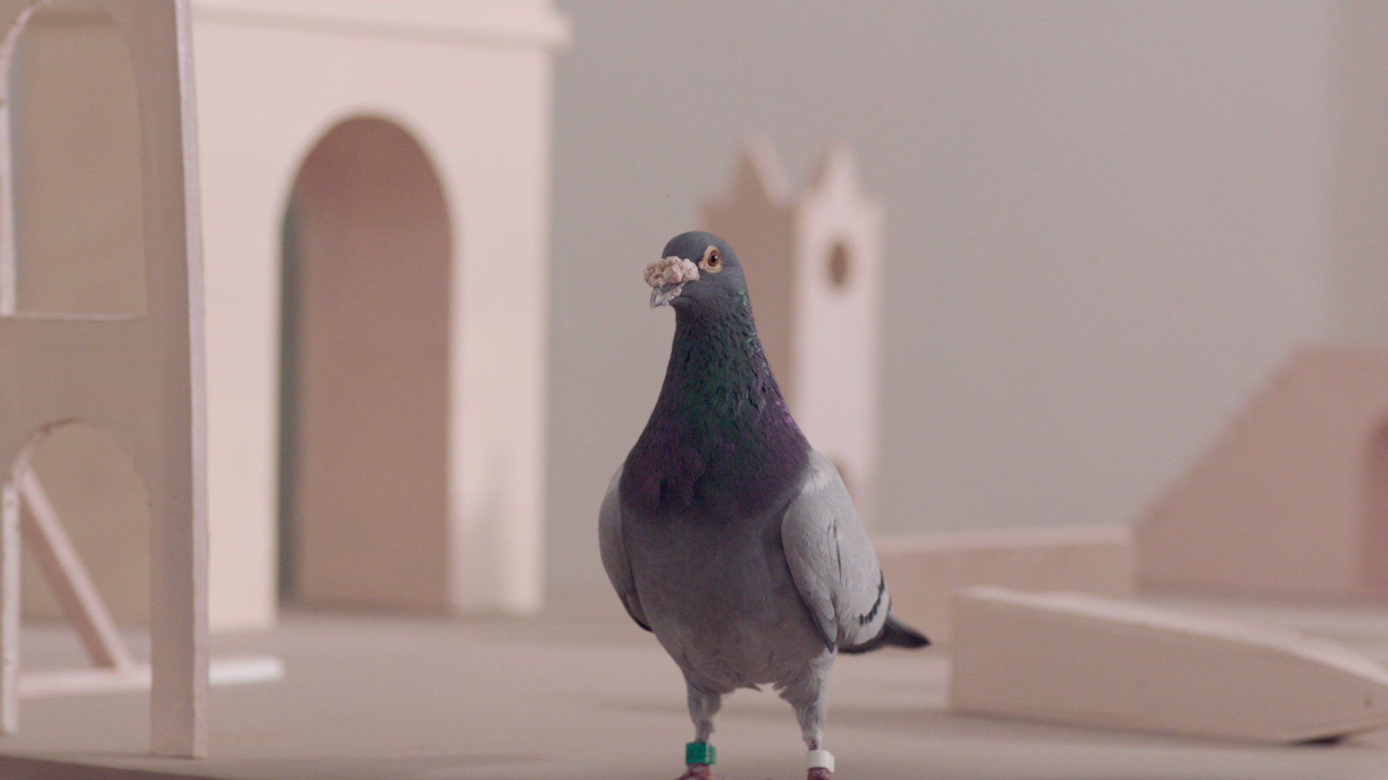 Still from <i>Post Human</i> (video installation), Iván Argote, 2022