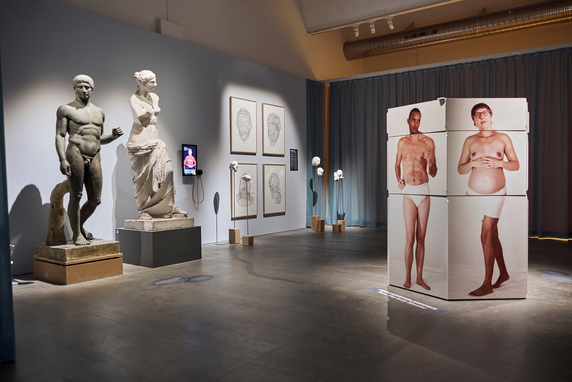 Installationsview <em>Kropumulig kroputrolig</em>, Vejle Kunstmuseum. Foto: Kenneth Stjernegaard