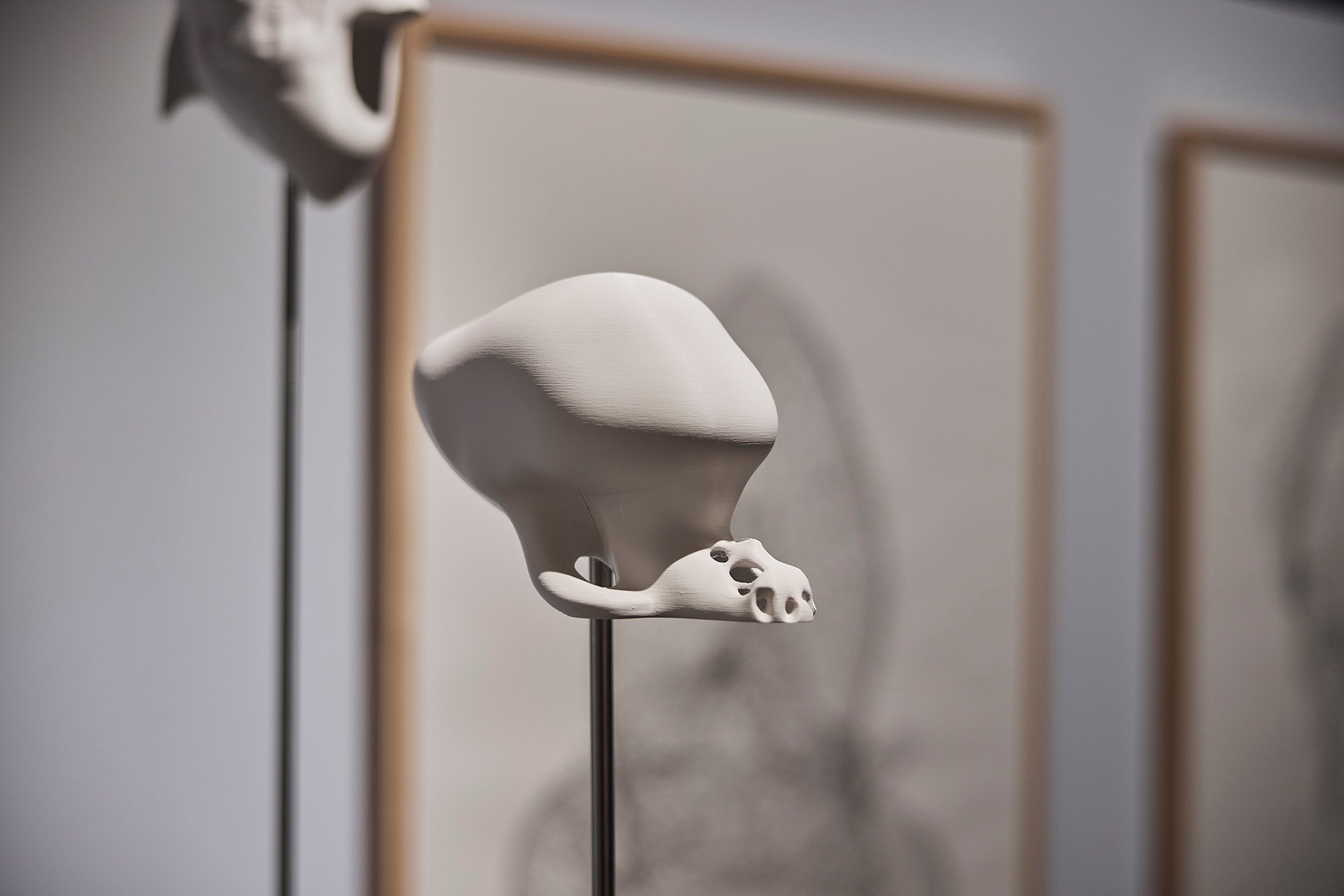 Installationsview <em>Kropumulig kroputrolig</em>, Vejle Kunstmuseum. Foto: Kenneth Stjernegaard