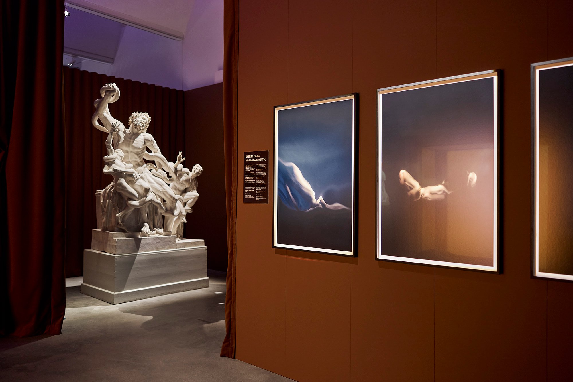 Installationsview <em>Kropumulig kroputrolig</em>, Vejle Kunstmuseum. Foto: Kenneth Stjernegaard