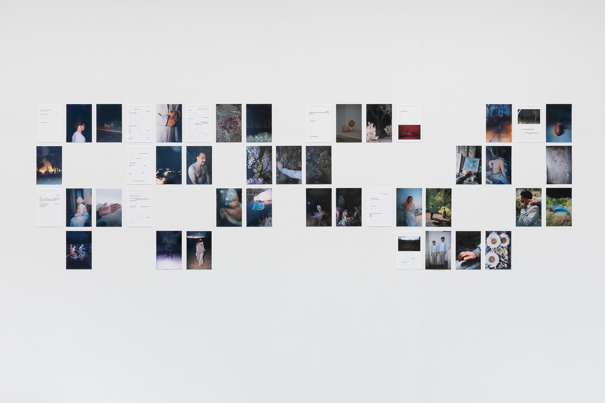 Rohit Saha, Alive in Wonderland. <i>Manifold – contemporary perspectives from India</i>. Foto: Mikkel Kaldal 