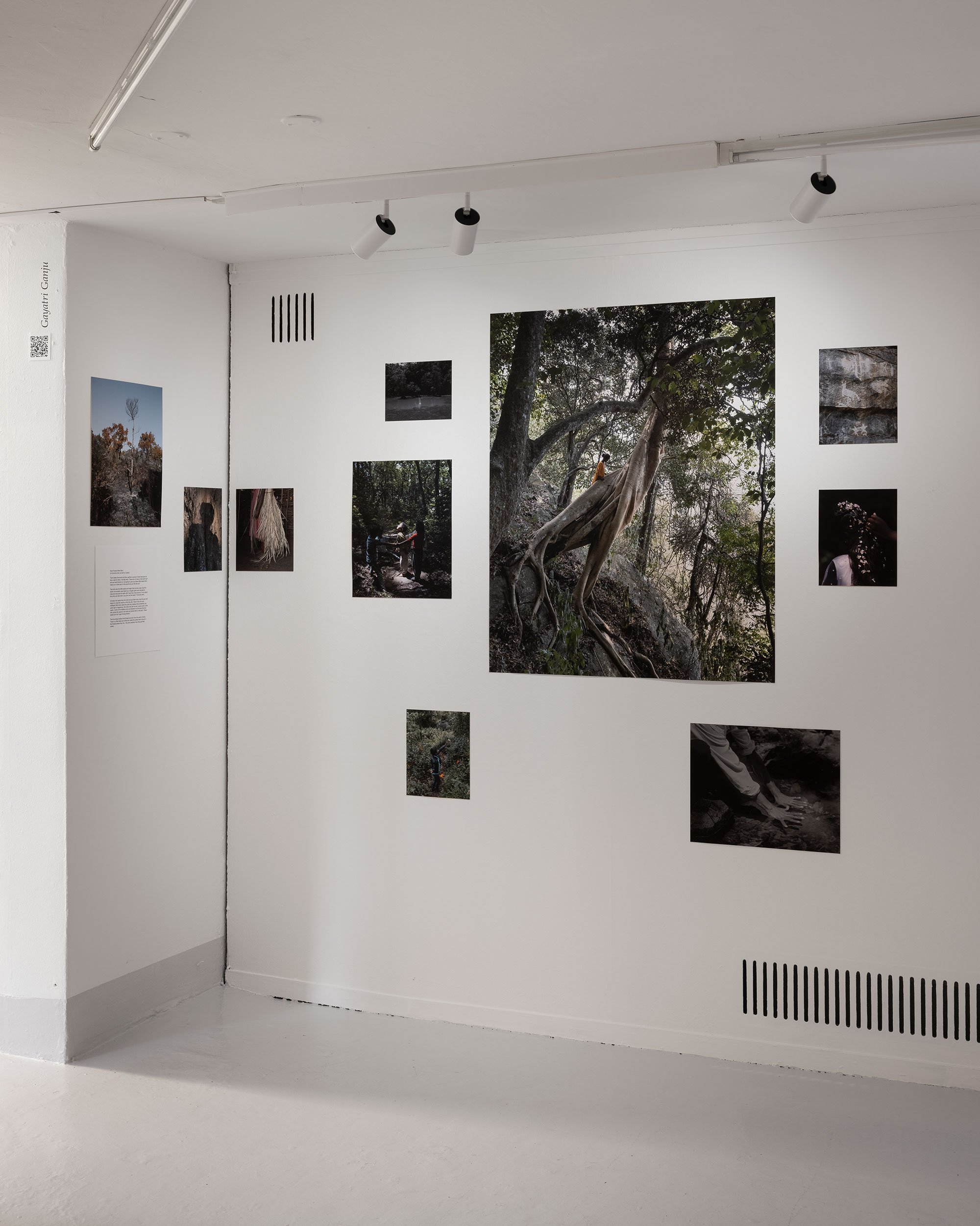 Gayatri Ganju, The Pregnant Tree. Manifold – contemporary perspectives from India. Foto: Mikkel Kaldal.