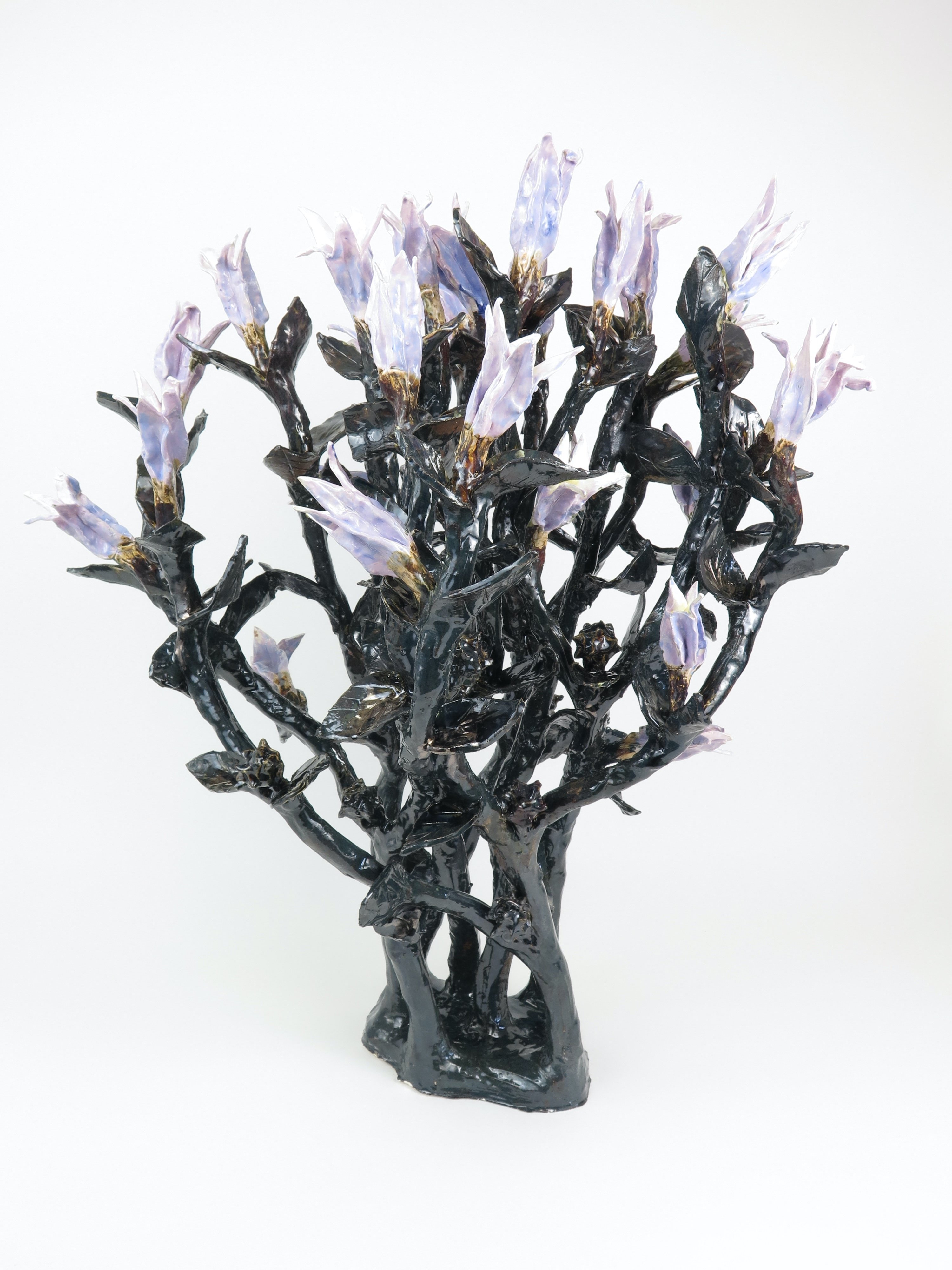 Rose Eken: Datura Stramonium (Thornapple), 2021 © The artist.