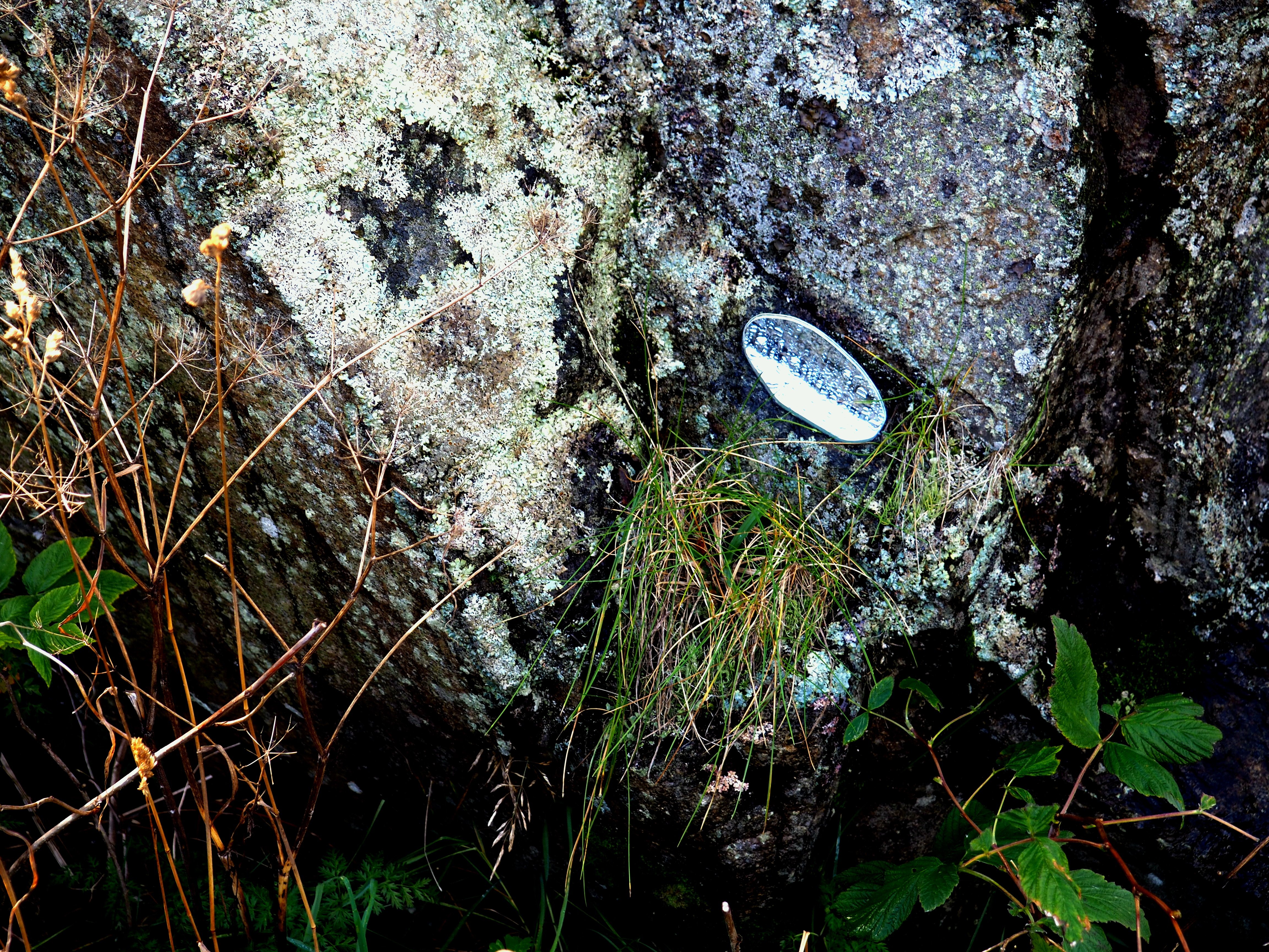 Magheretha Åsbjergs spejl der fragmenterer regndråber. Foto: Lærke Kartvedt