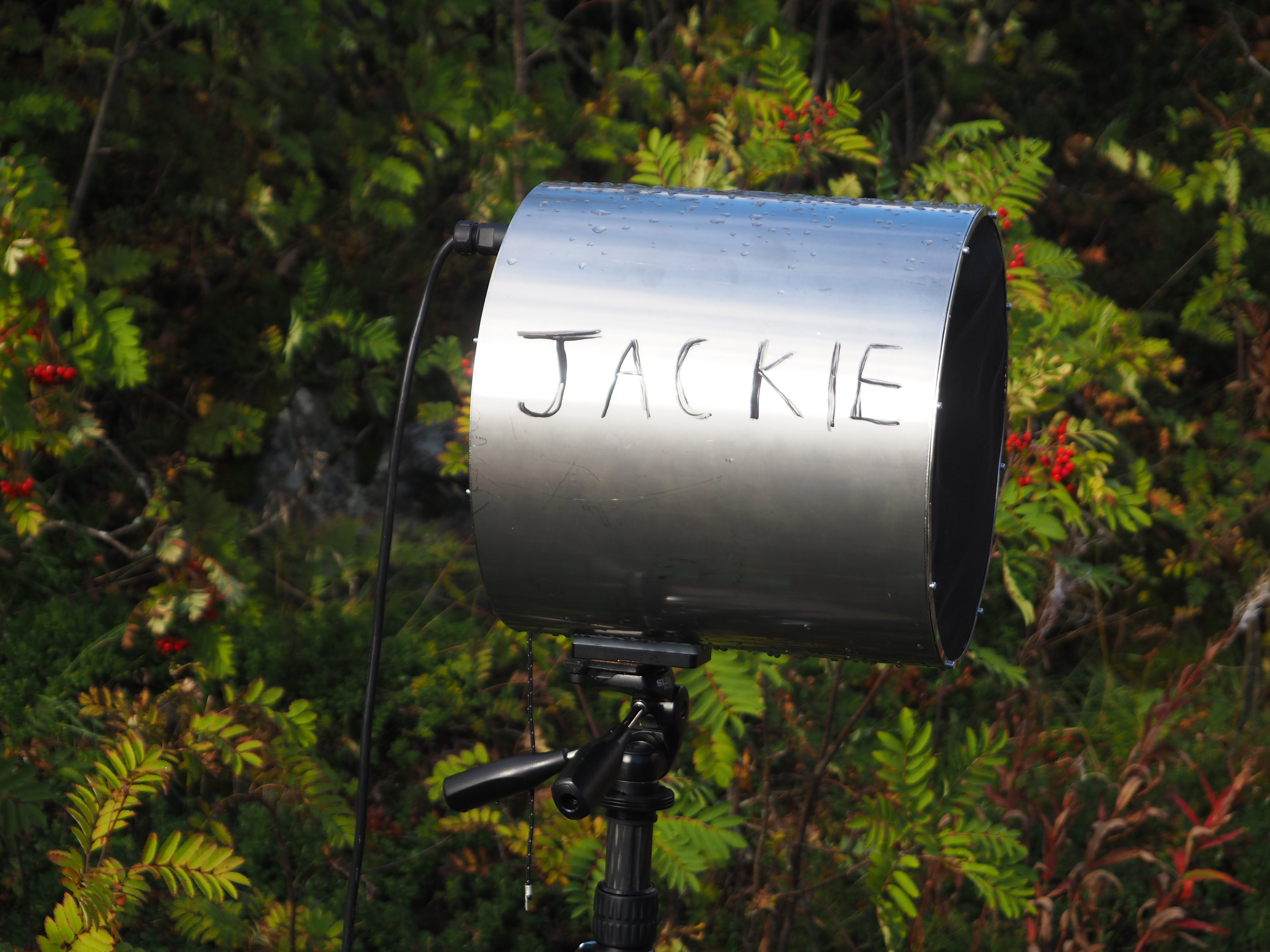En højtaler afpiller lyden af lofoten og bærer Jackie Matisse navn til ære for den afdøde kunstner. Foto: Lærke Kartvedt