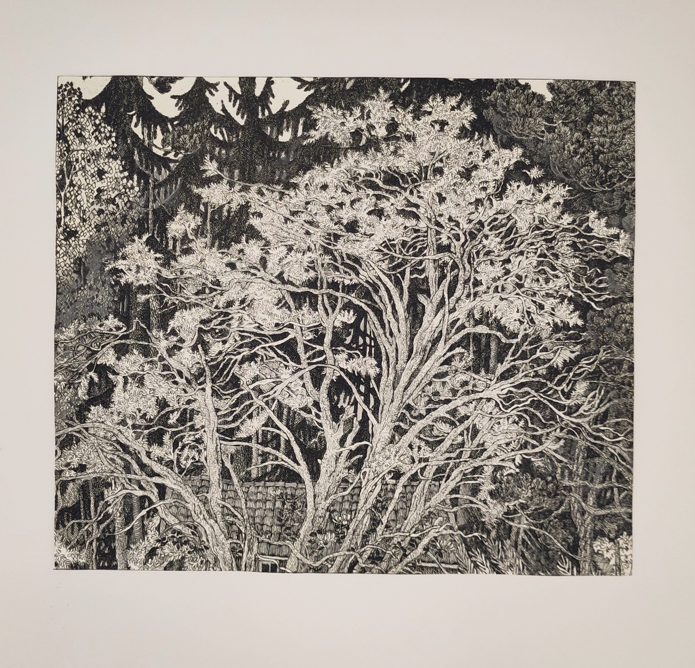 Christina Ringsberg, Kontur art matter