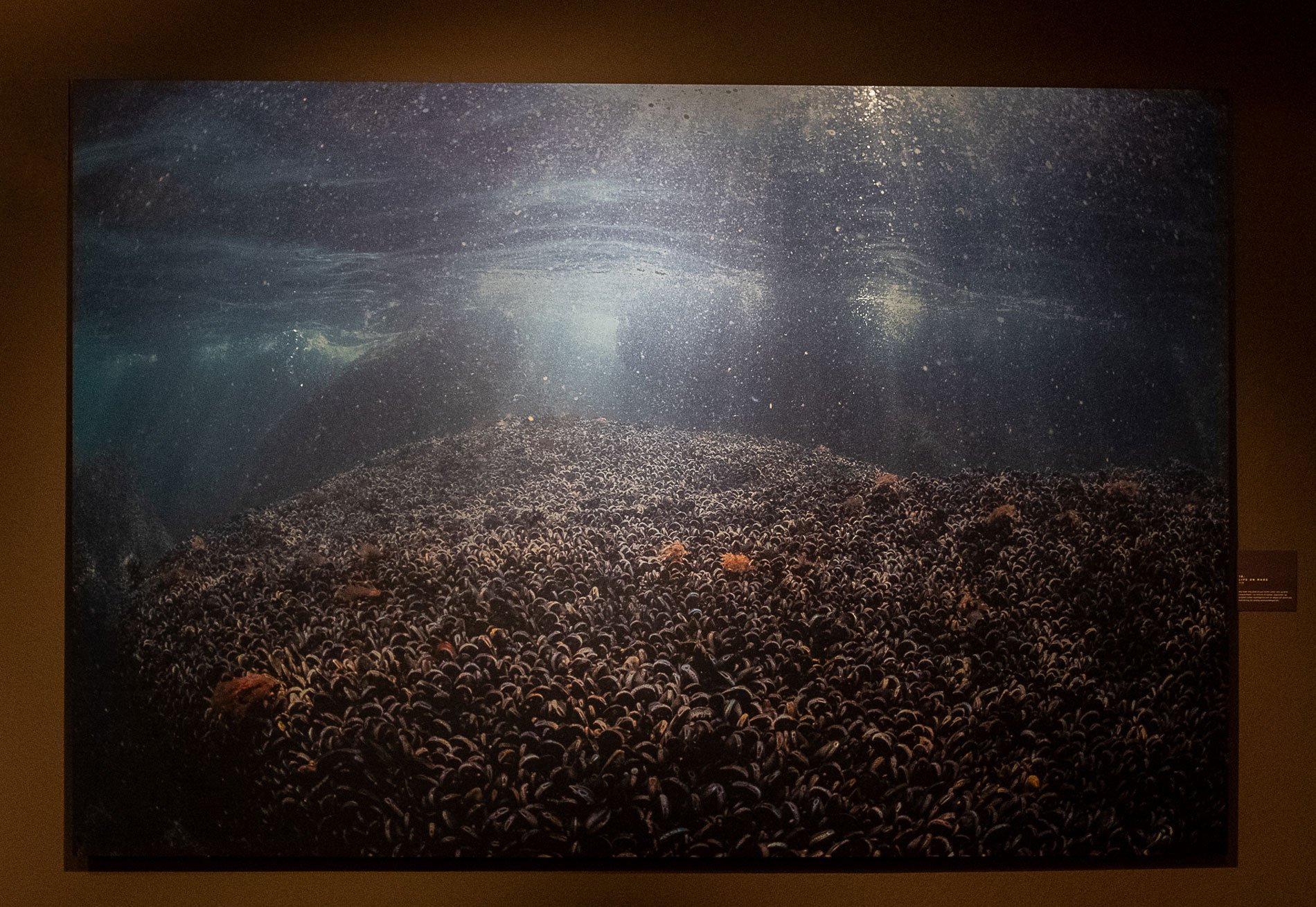 Lars Nedergaard, Fotografi, <i>Life on Mars 2024</i>, fotograf Lars Nedergaard