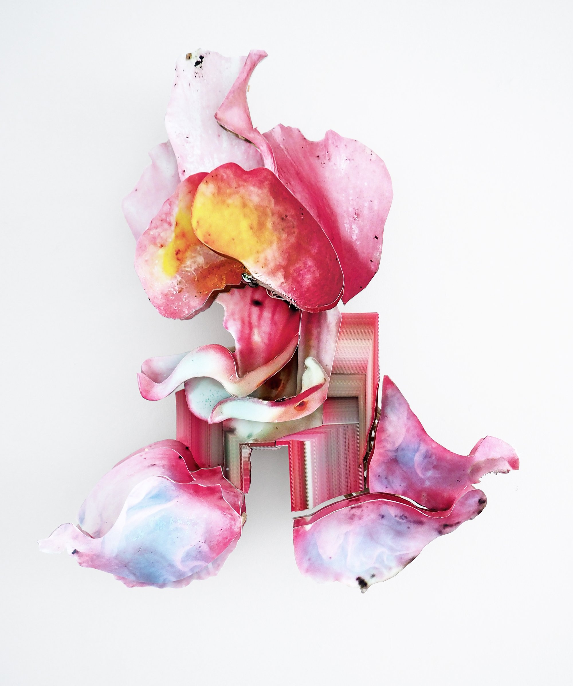 Lotte Agger, <i>Synspunkt V</i>, 2024  110 x 60 cm. opskåret foto/træ. Foto: Galleri Pi.