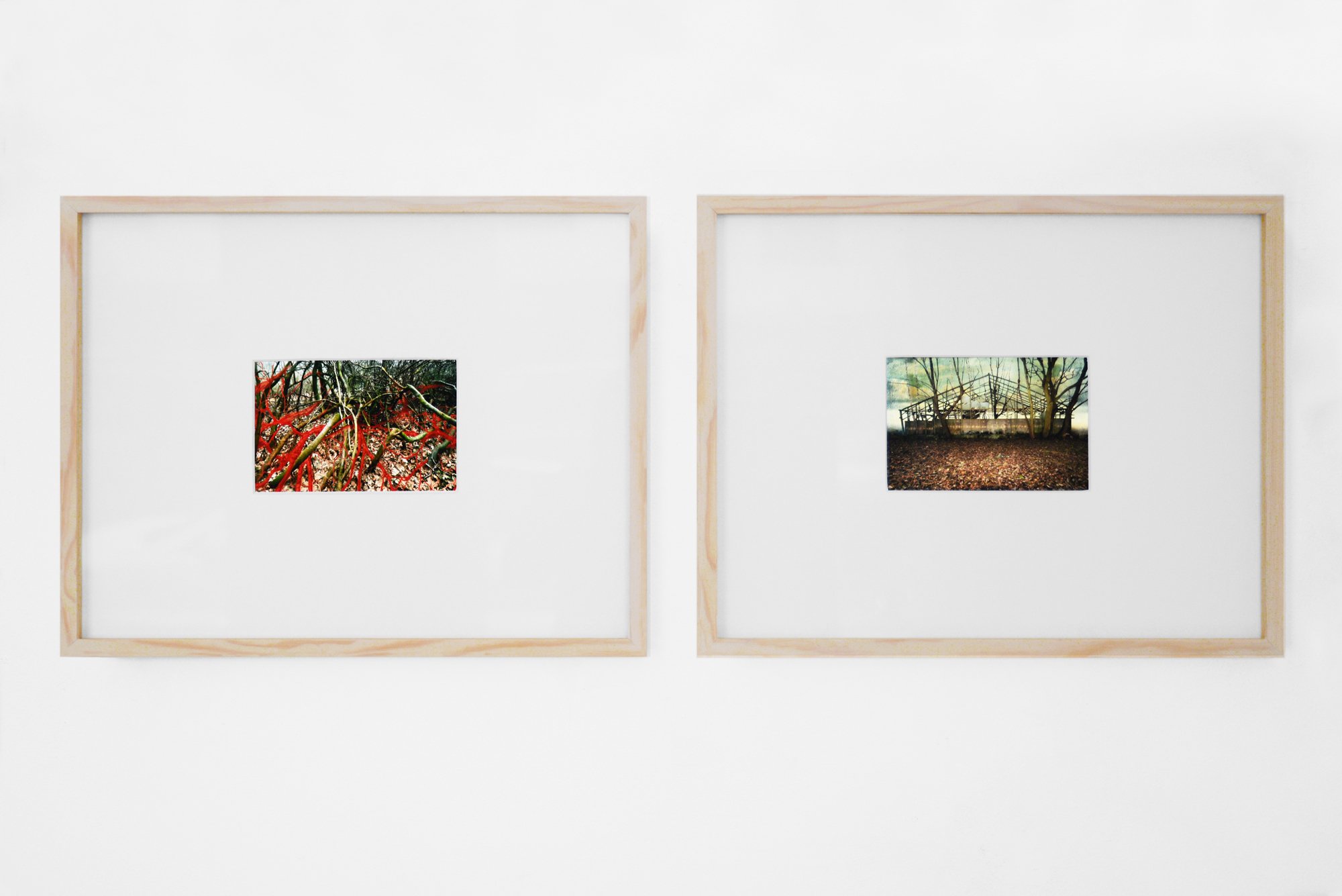 Lotte Agger, 2024,  <i>Synspunkt X</i>,  24 x 50 cm. foto, <i>Synspunkt XI</i>,  24 x 50 cm. foto. Foto: Galerie Pi.