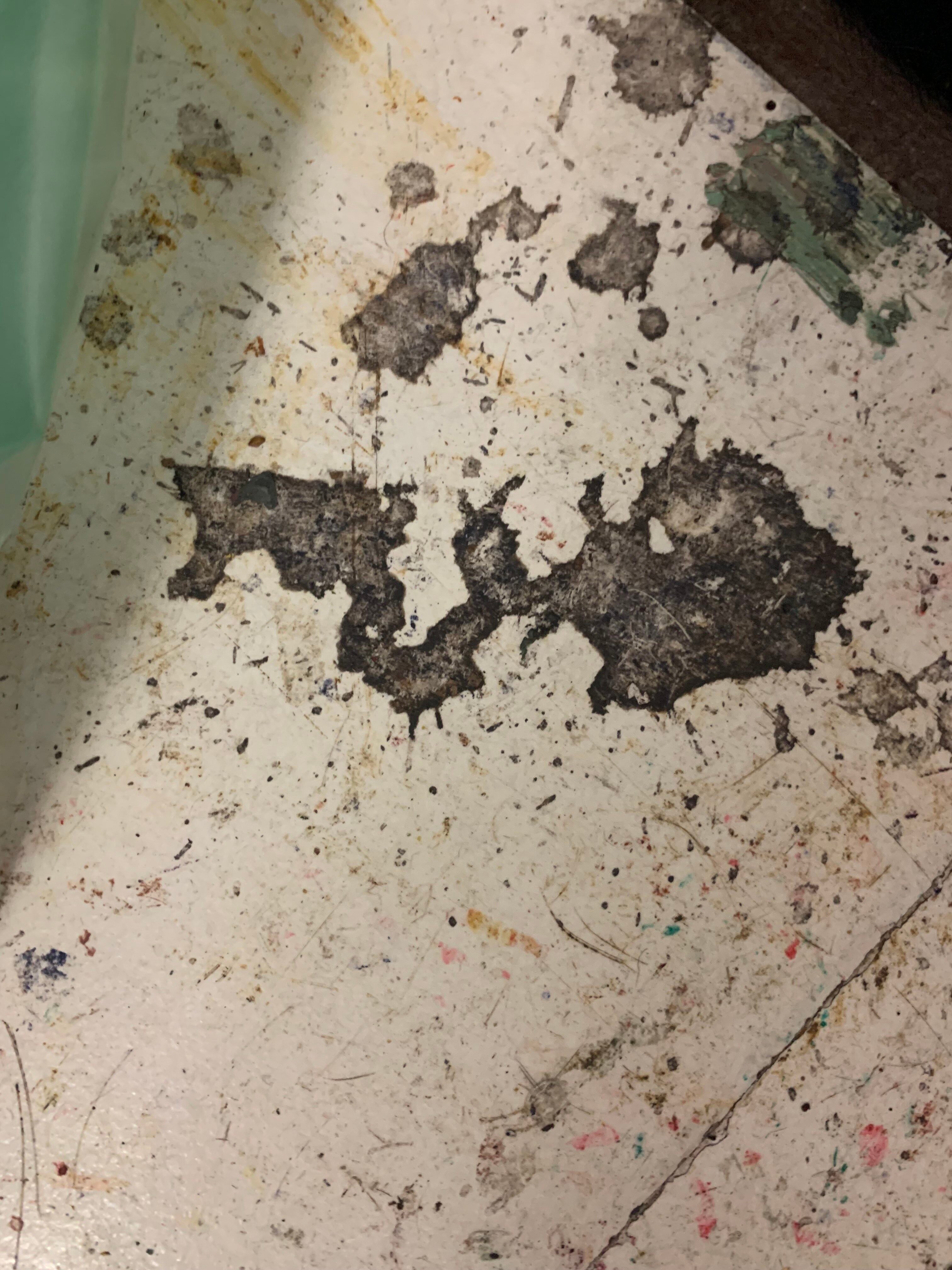 <em>August Thunbo finder inspiration fra pletter på jorden, foto: August Thunbo. </em>