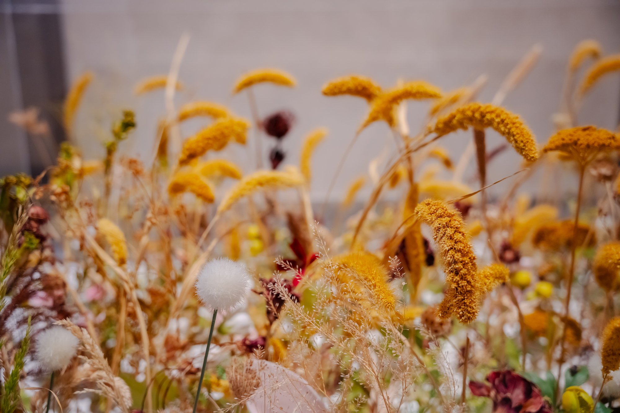 HJERTERUM. Foto: Designmuseum Danmark