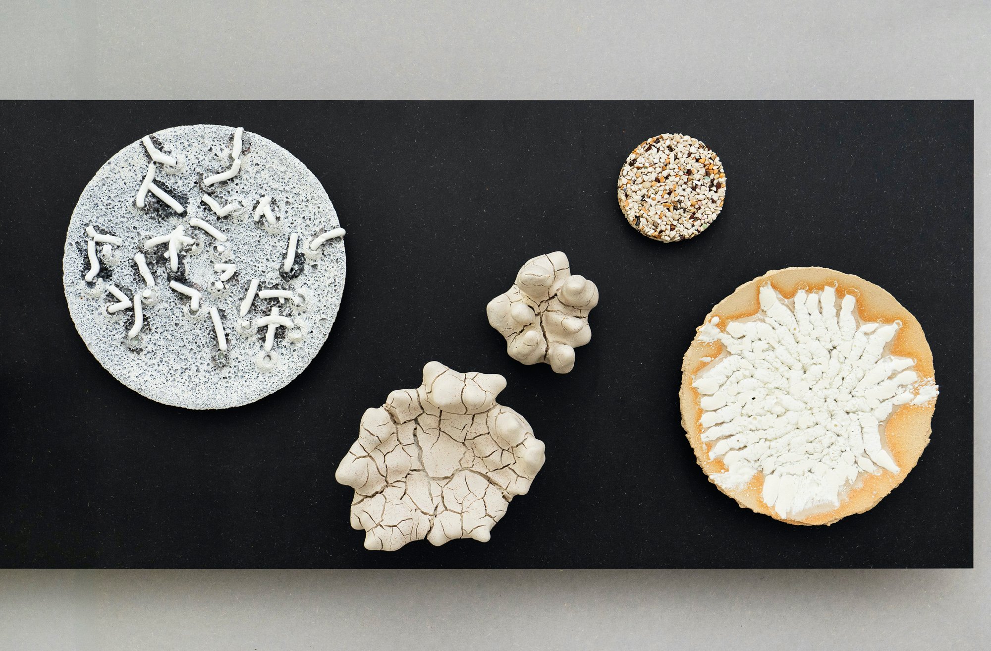 Thora Finnsdottir. Wasteplatte 2025, Wastecoral Goplet 2025, Wastecoral III 2025, 100% Waste Dot - 2025, Waste Decorating I 2025. Foto: Christoffer Askman.