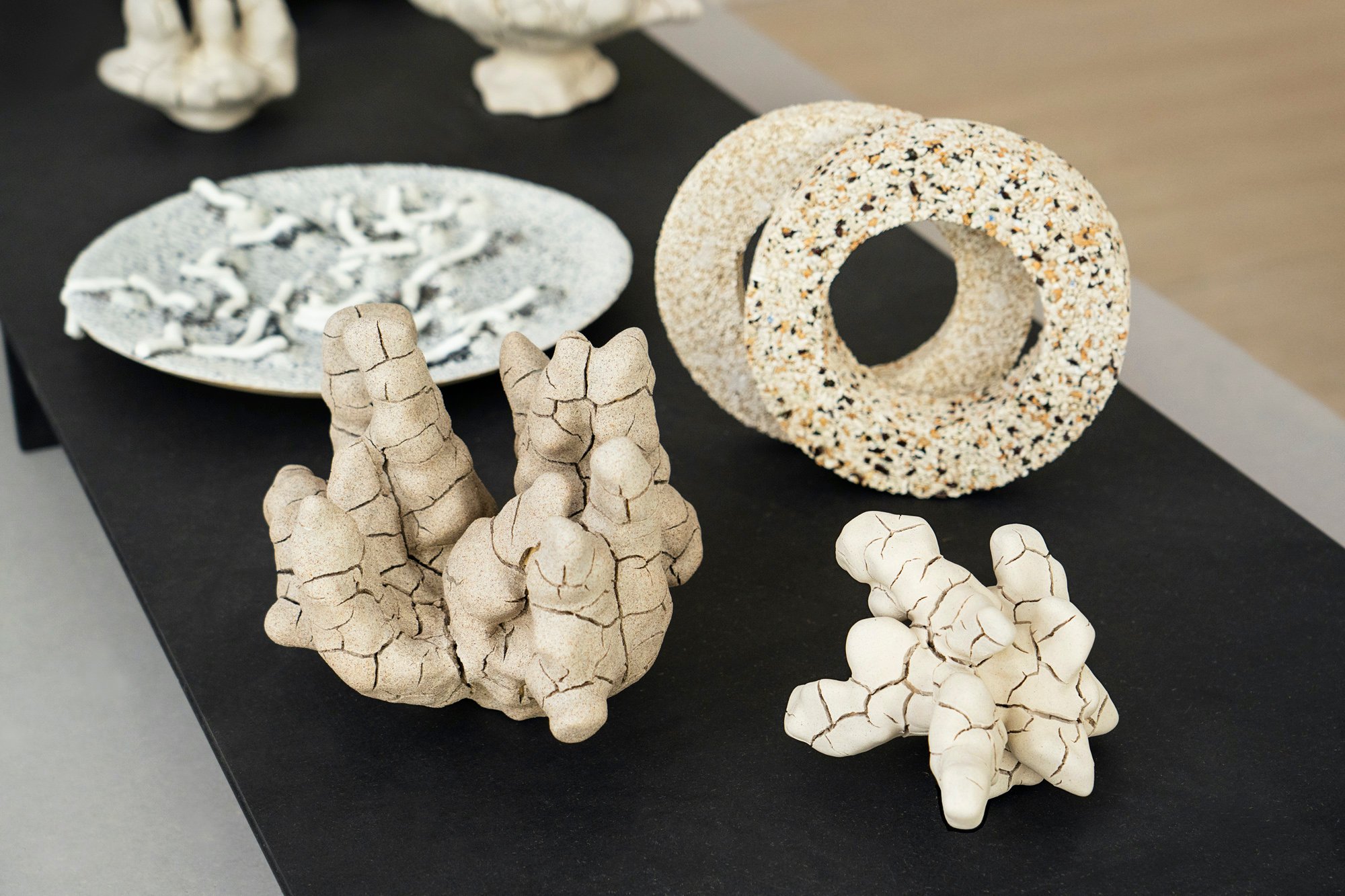 Thora Finnsdottir. Wastecoral I 2025 og Wastecoral II 2025. Foto: Christoffer Askman.