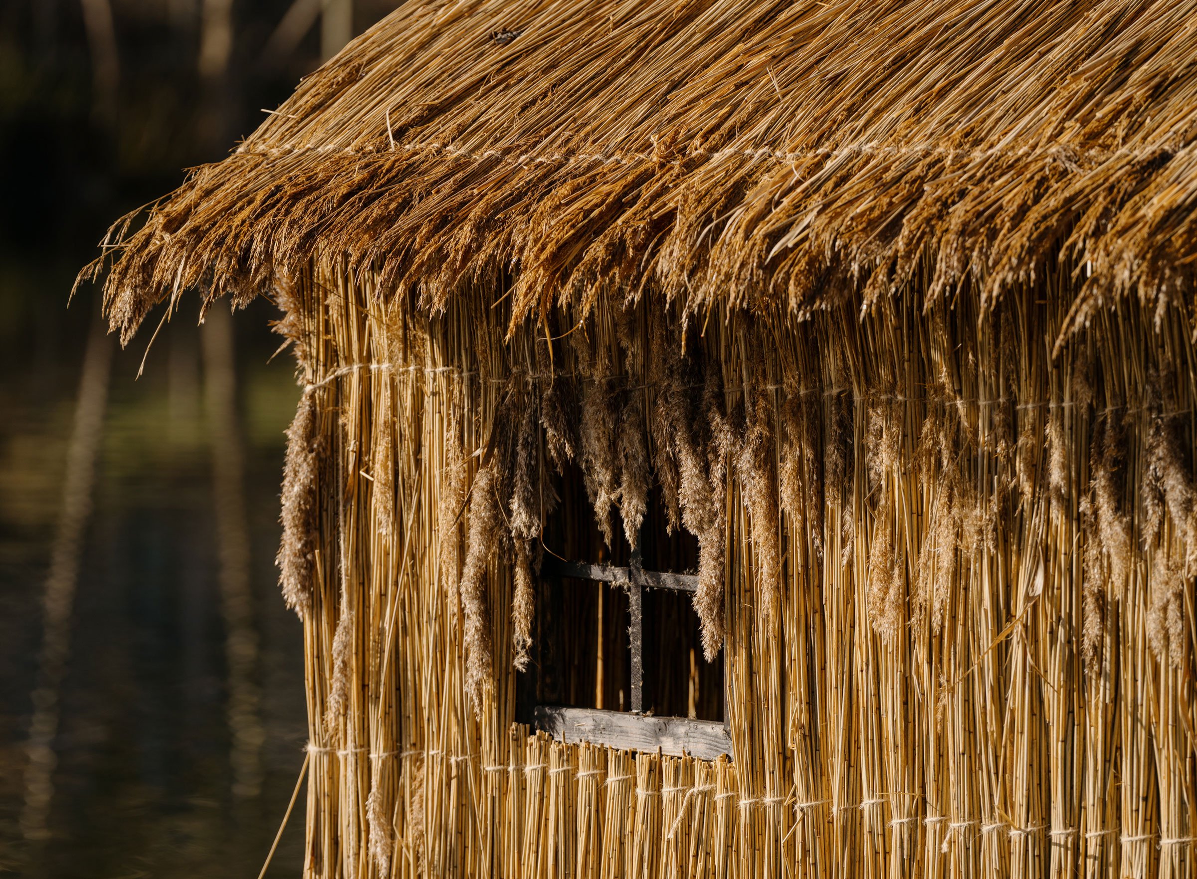 Olivia Rode Hvass: <i>She listens but she can’t speak</i> på udstillingen <i>Et stjernehus uden sol</i>, Museet for samtidskunst. Foto: David Stjernholm
