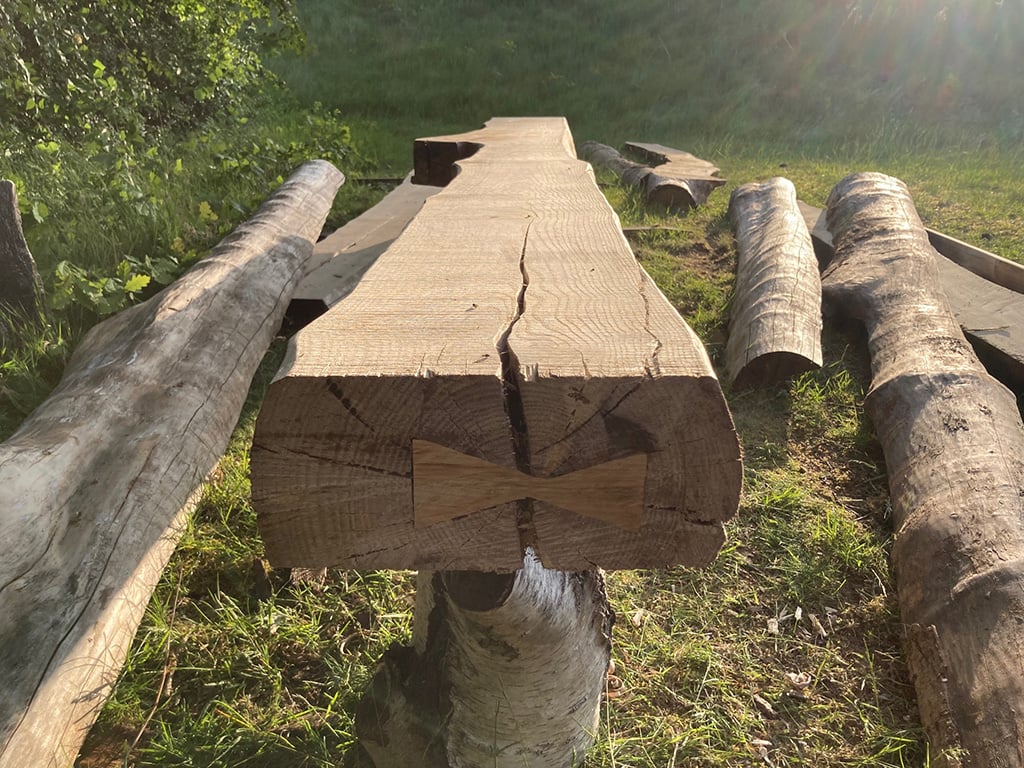 Søren Lose: <em>Askebarkborebillebænk</em>, <a href="https://artmatter.dk/artguide/calendar/vild-park-genbesoegt">Vild Park</a>, Nykøbing Falster, 2022. Foto: Søren Lose.