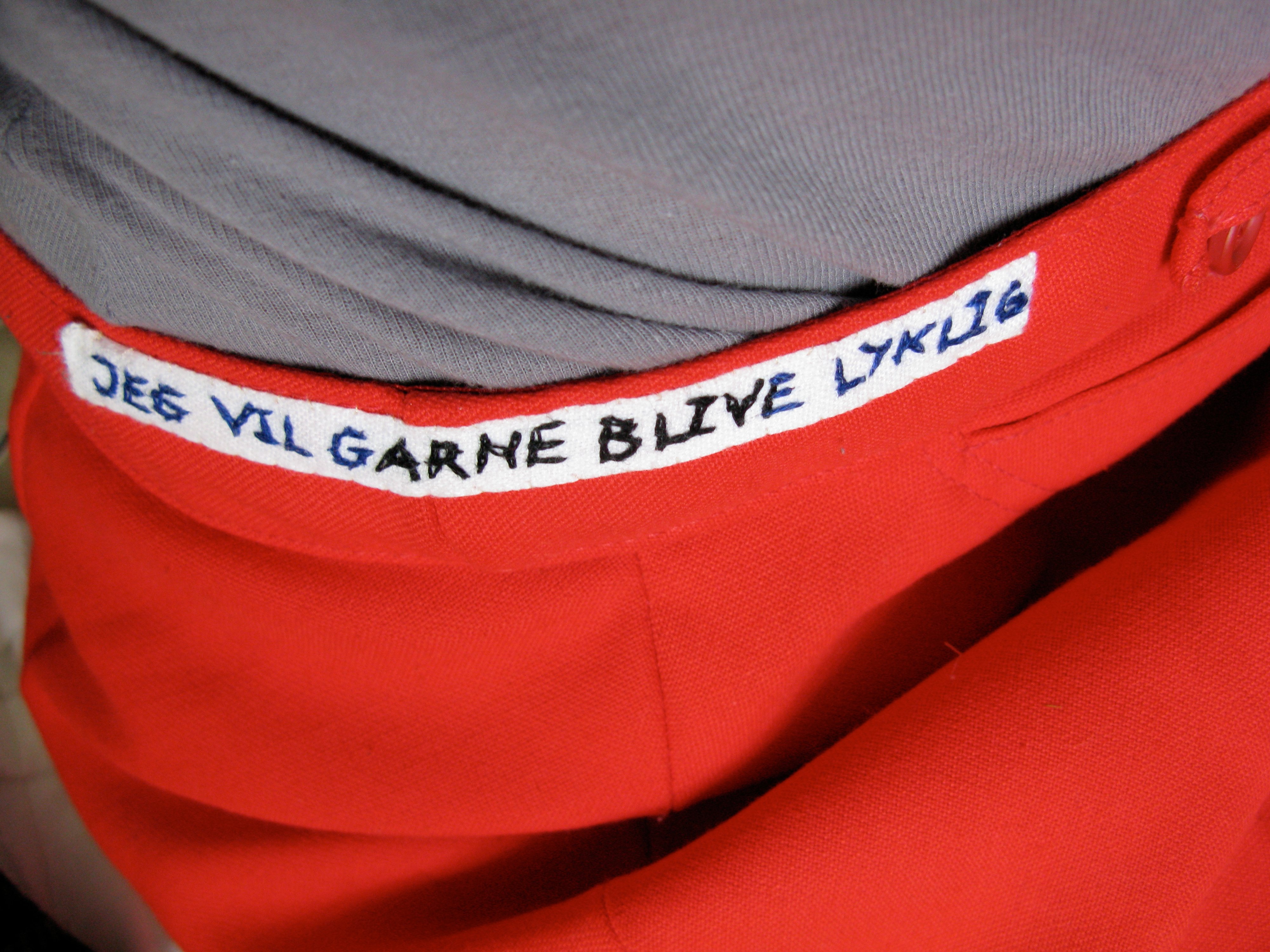 Gudrun Hasle: <em>Jeg vil garne blive lyklig</em>.