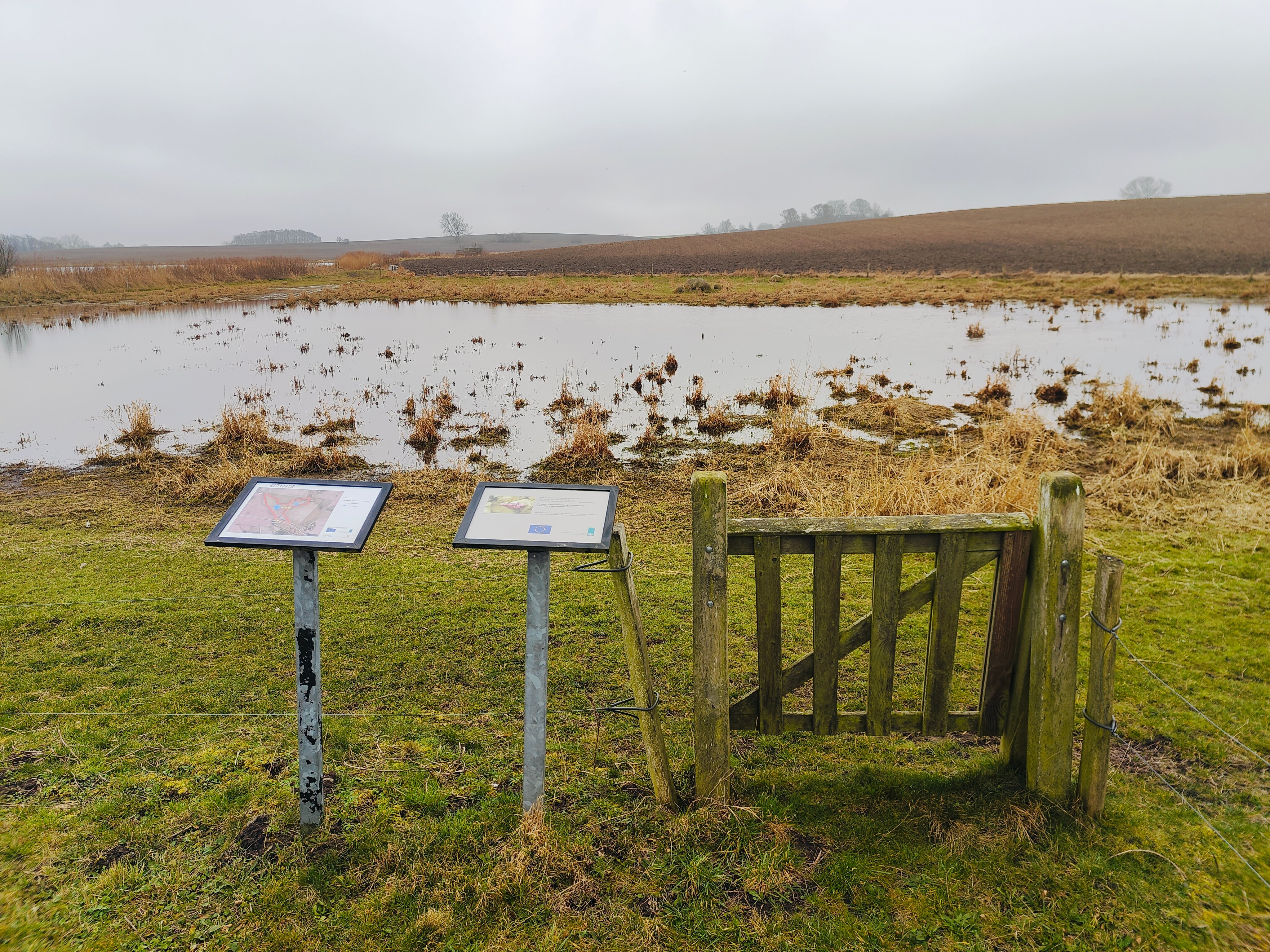 Vandhullerne ved Orevej. Foto: Tue Greenfort.