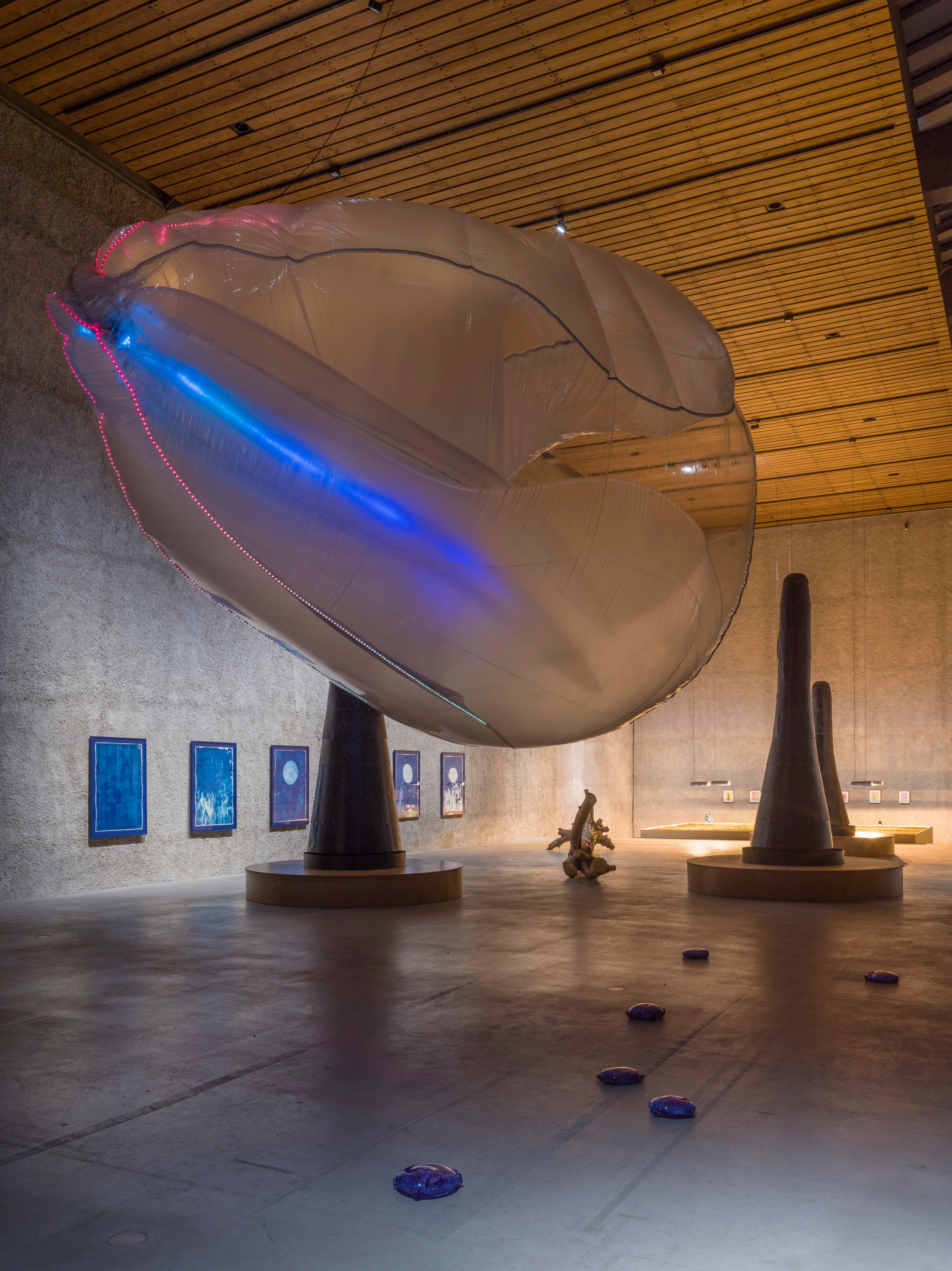 I Markedshallen i Stubbekøbing vil publikum opleve en kolosal oppustelig gople som lyser i alle spektralfarverne. Der er tale om den pneumatiske lysskulptur “Dræbergople” (2017 - 2025) af kunstneren Tue Greenfort. Den store ægformede ballon er inspireret af en invasiv gople art også kaldet Ribbegople (i pressen udråbt som Dræbergople). Foto fra Tue Greenforts udstilling <em>Equilibrium</em> på Koenig Galerie, 2022. Foto: Roman Maerz.