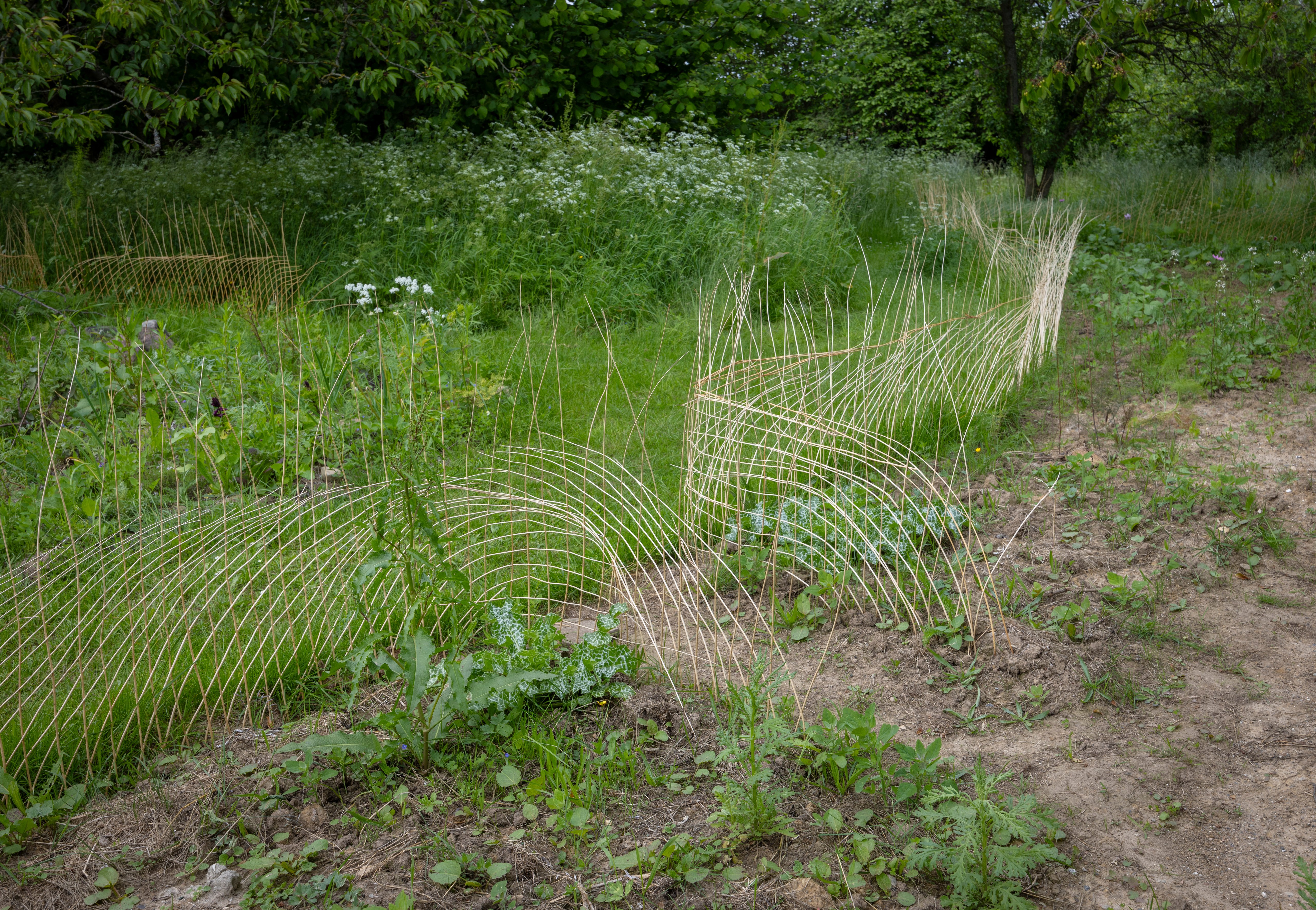 Anne-Mette Schultz, <i>Pengehave</i>, 2024. Ved Skoven, 2024. Foto: Malle Madsen.
