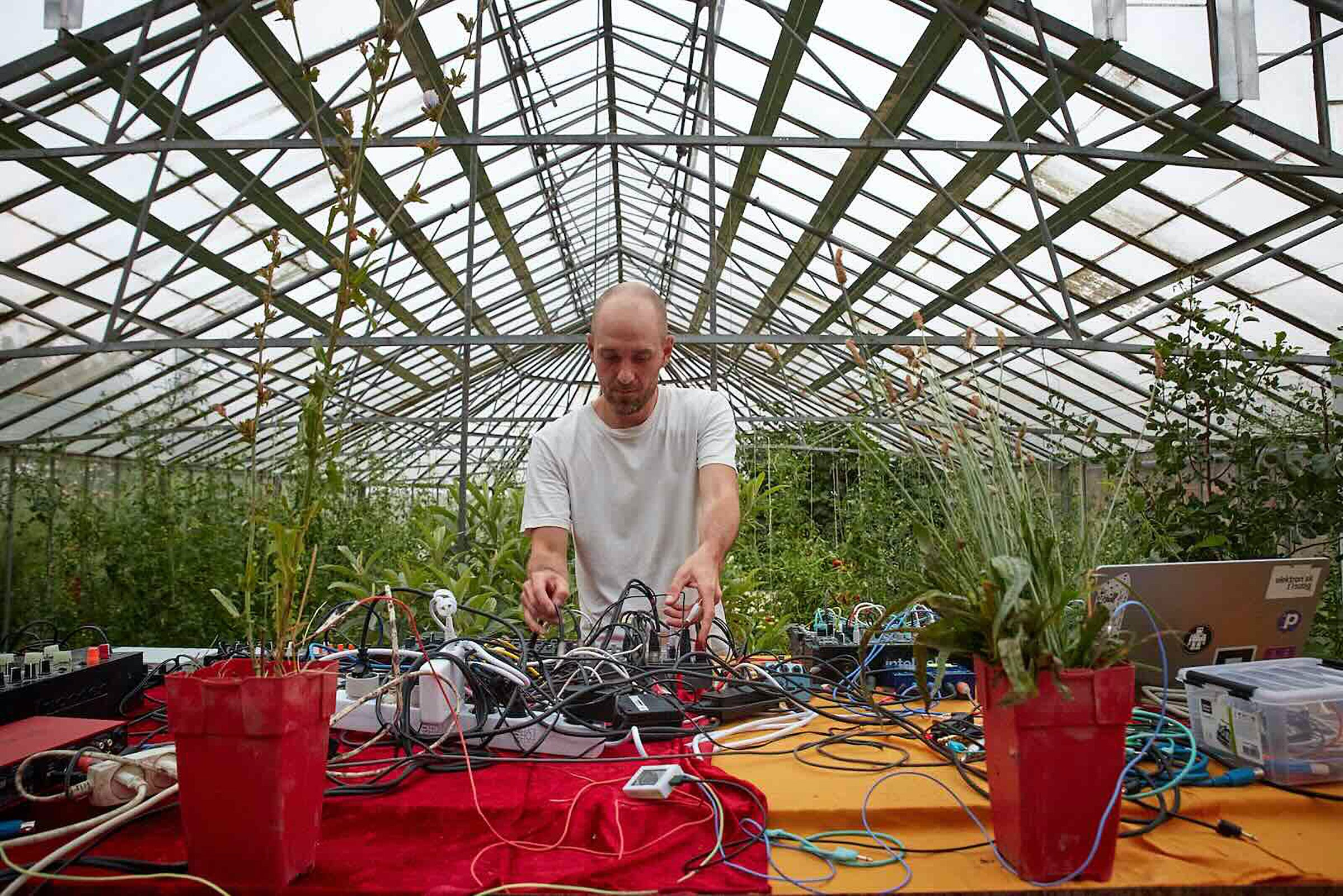 Plantekoncert med Bo Thorning. Foto: Tonehoved.