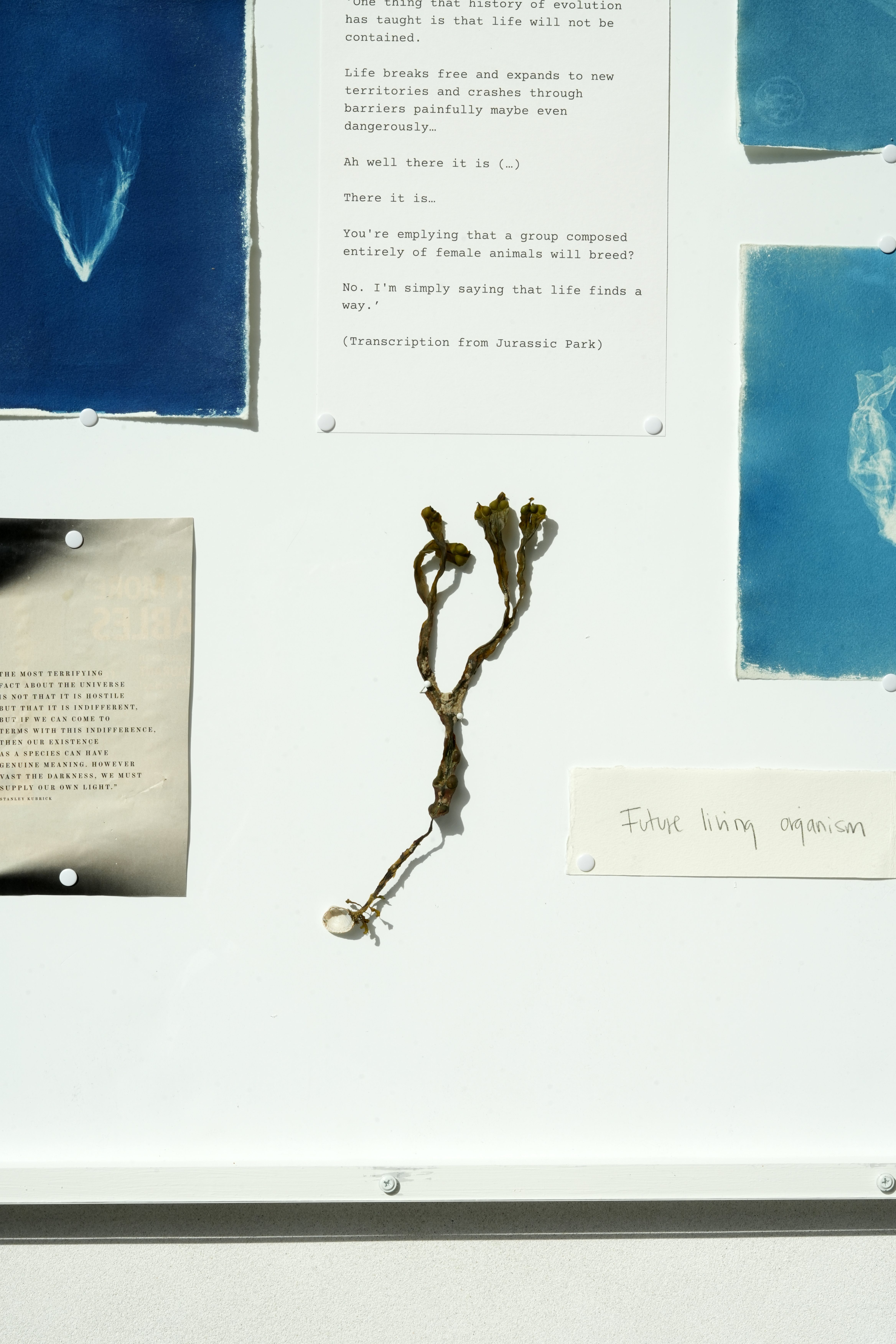 Ida Hermansen. ETERNAL på Vandrehallen. Foto Thomas Degner