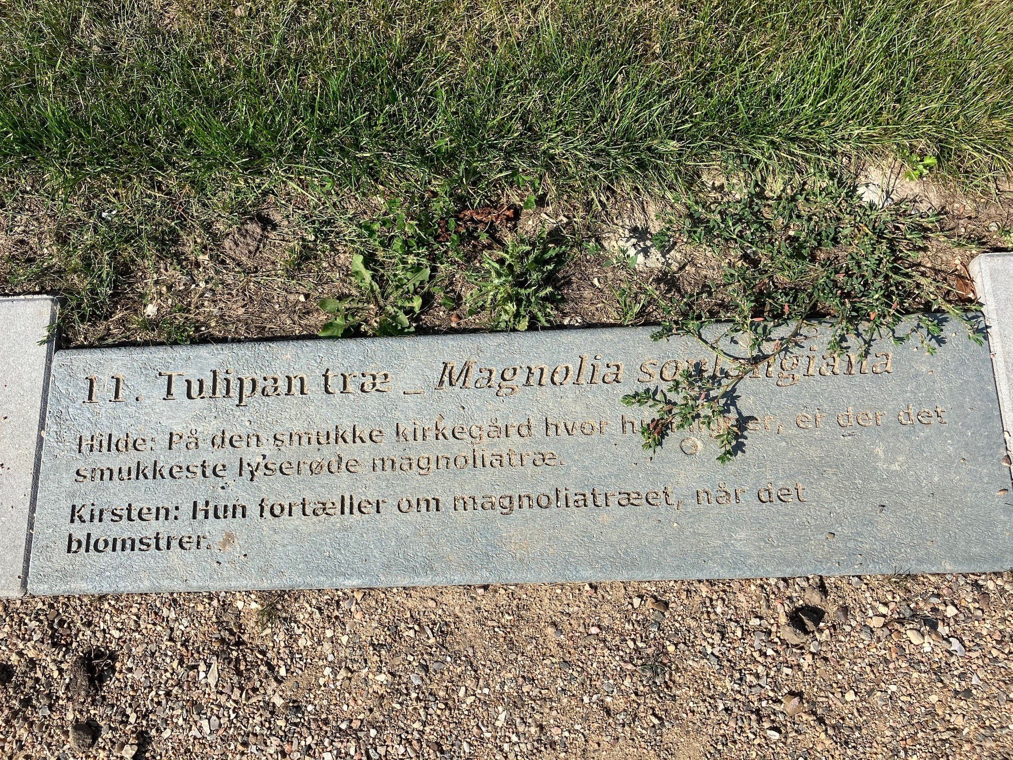 Fliser på Friheden. Del af Camilla Berners værk <i>Plantefortællinger</i>. Foto: Guldborgsund