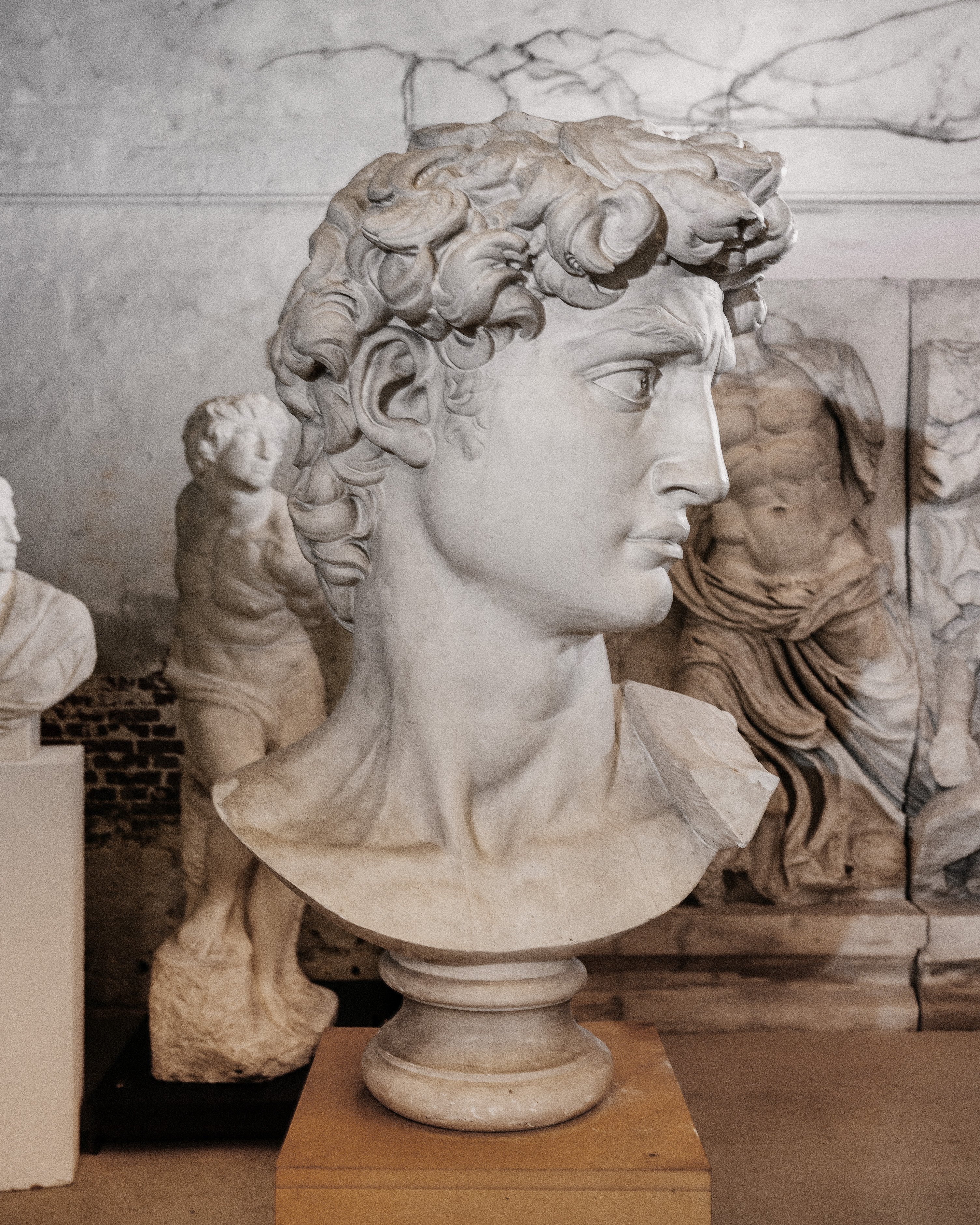 Gipsafstøbning efter Michelangelo Buonarroti, Davids hoved. Original ca. 1501-04, afstøbning 1890. Foto fra Den Kgl. Afstøbningssamling, SMK.