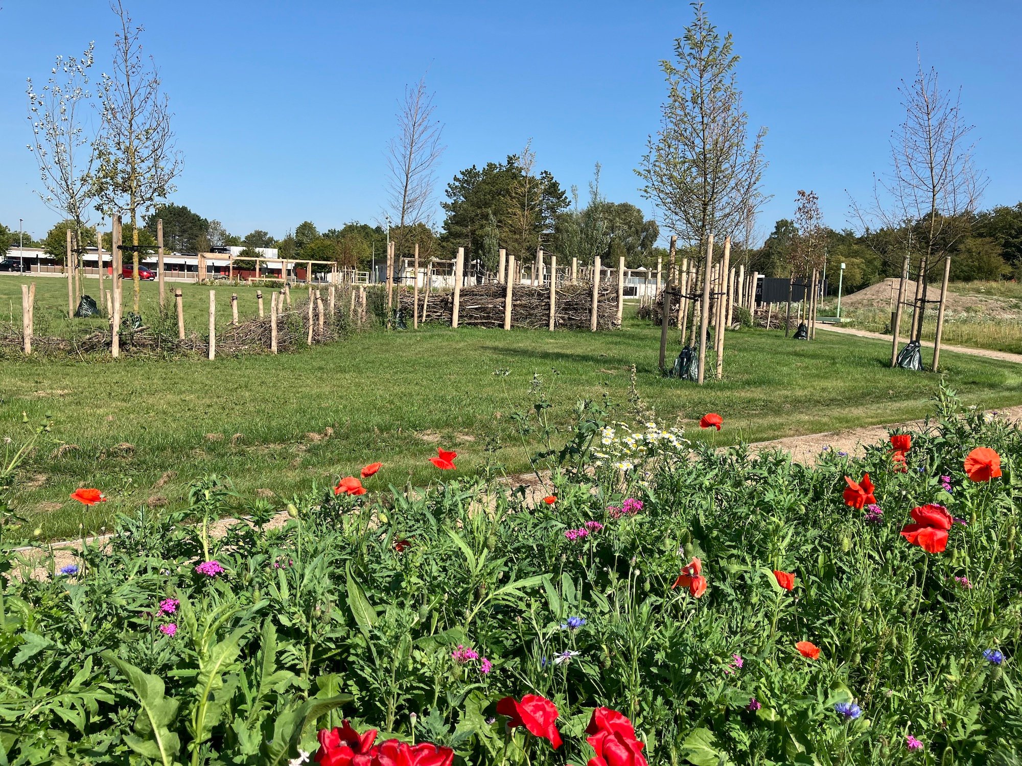 Søren Lose og Thomas Seest skabte en del af Kvashegnet sammen med lokalområdets børn og unge. Foto: Guldborgsund Kommune