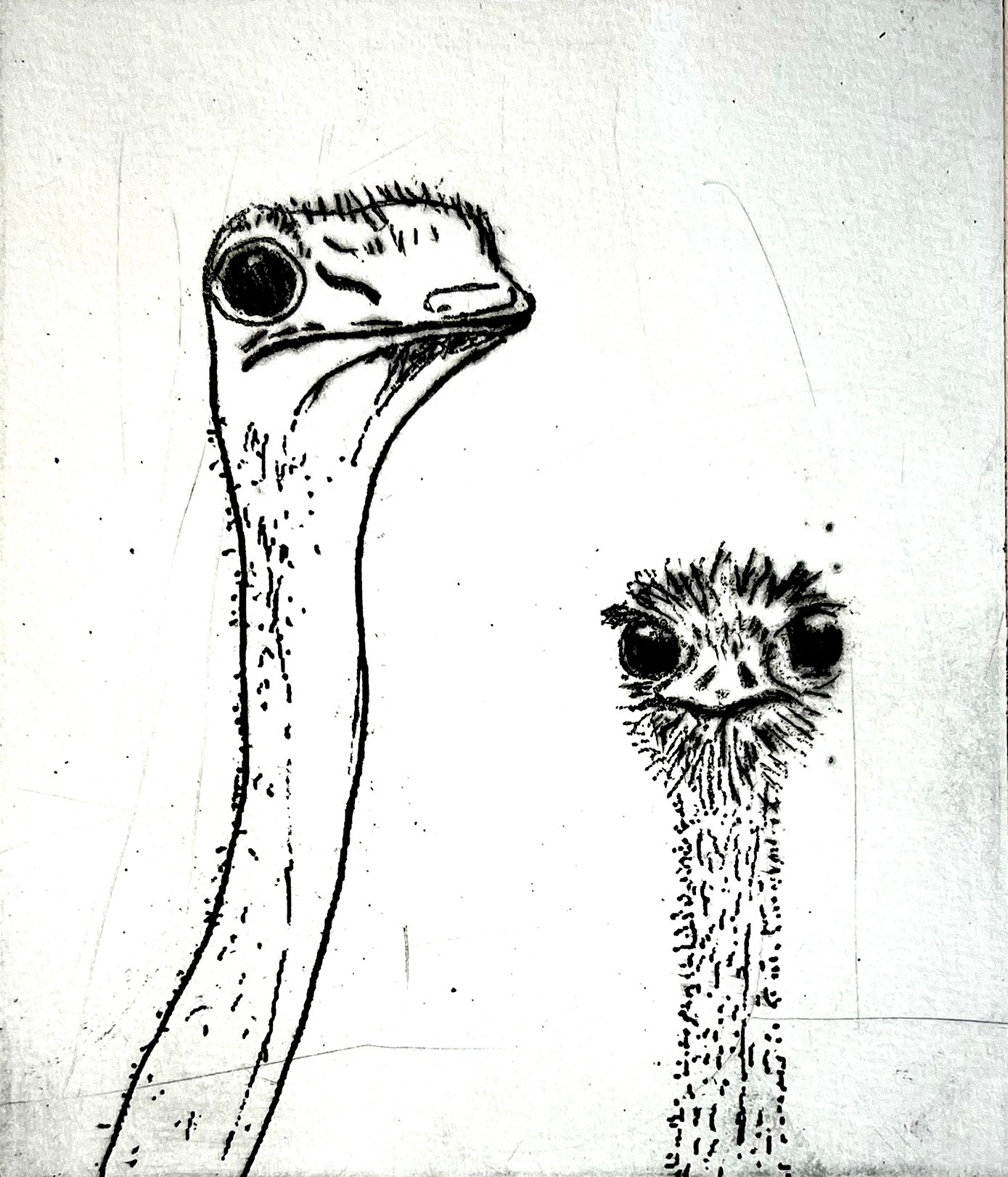 Foto: Mariann Thymann.