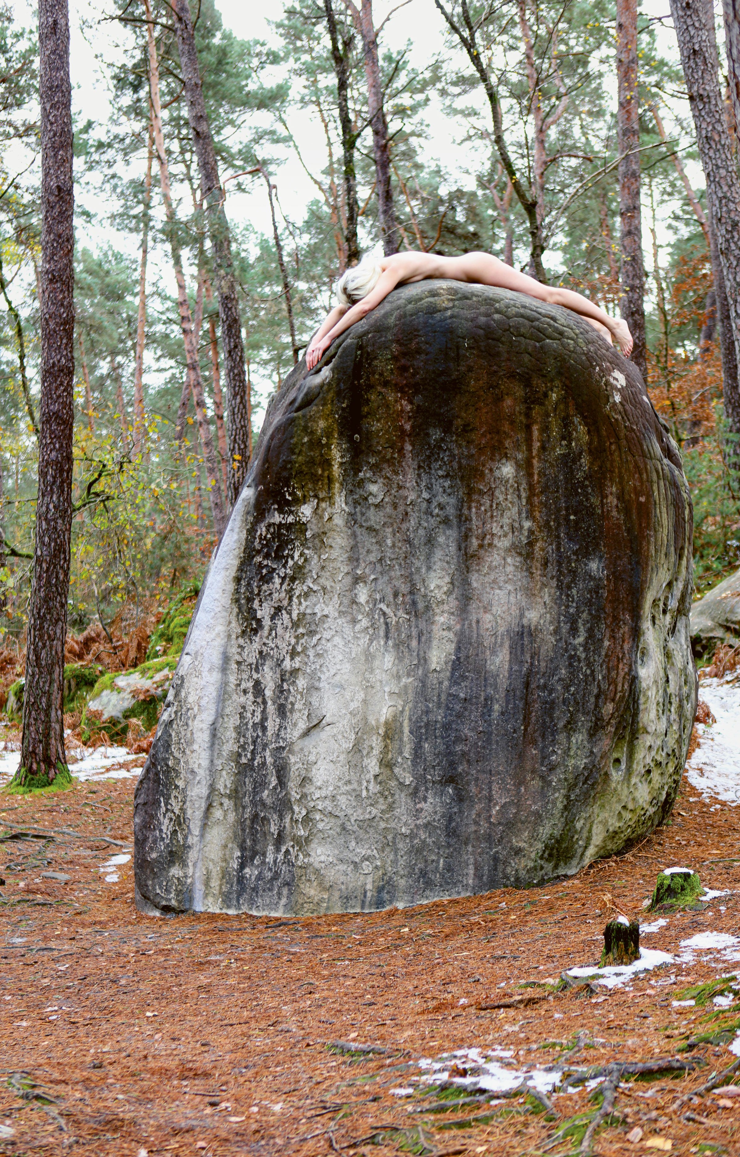 Sophie Dupont: <i>Connecting</i>, 23. november 2024, Forêt de
Fontainebleau, Frankrig. Foto: Thierry Forien