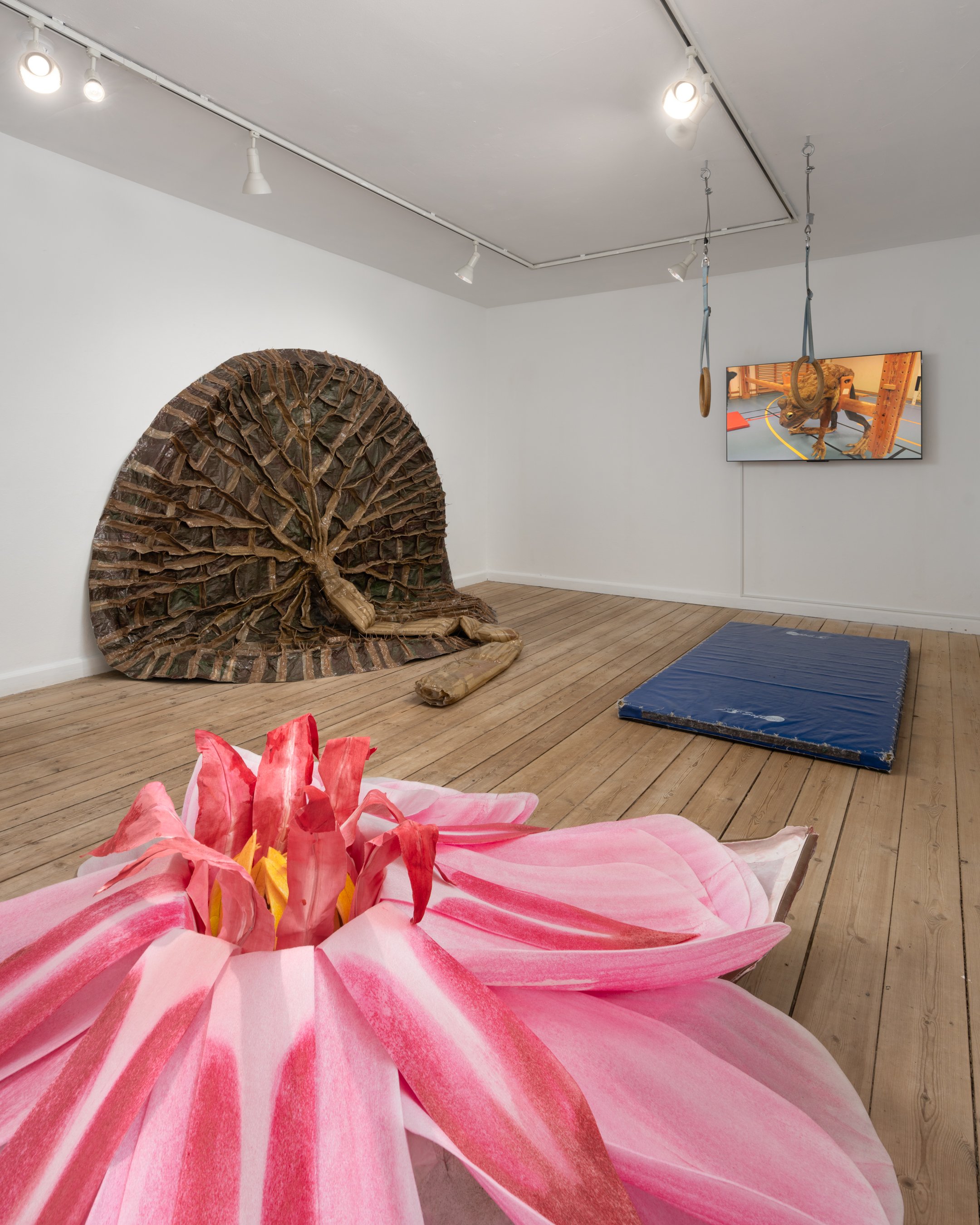 Ingela Ihrman: <em>Kæmpeåkanden Victoria Amazonica</em>. Bagest til højre videoinstallationen <em>Padden</em>, hvor kunstneren iført frøkostume absurd forsøger sig med redskabsgymnastik i en gymnastiksal. Foto: David Stjernholm.