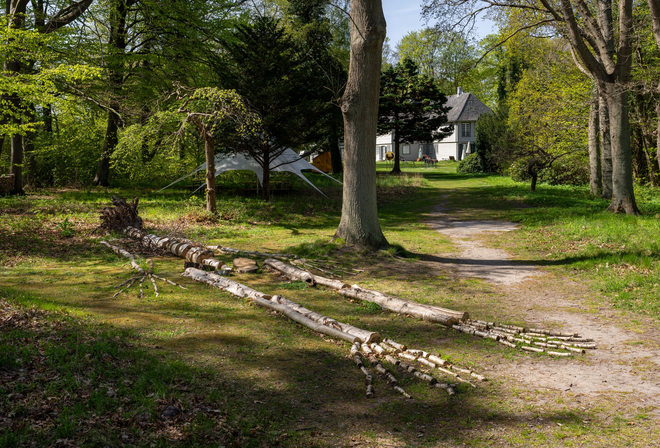 Ingela Ihrman: <em>Dronningens lur</em>. Foto: David Stjernholm.