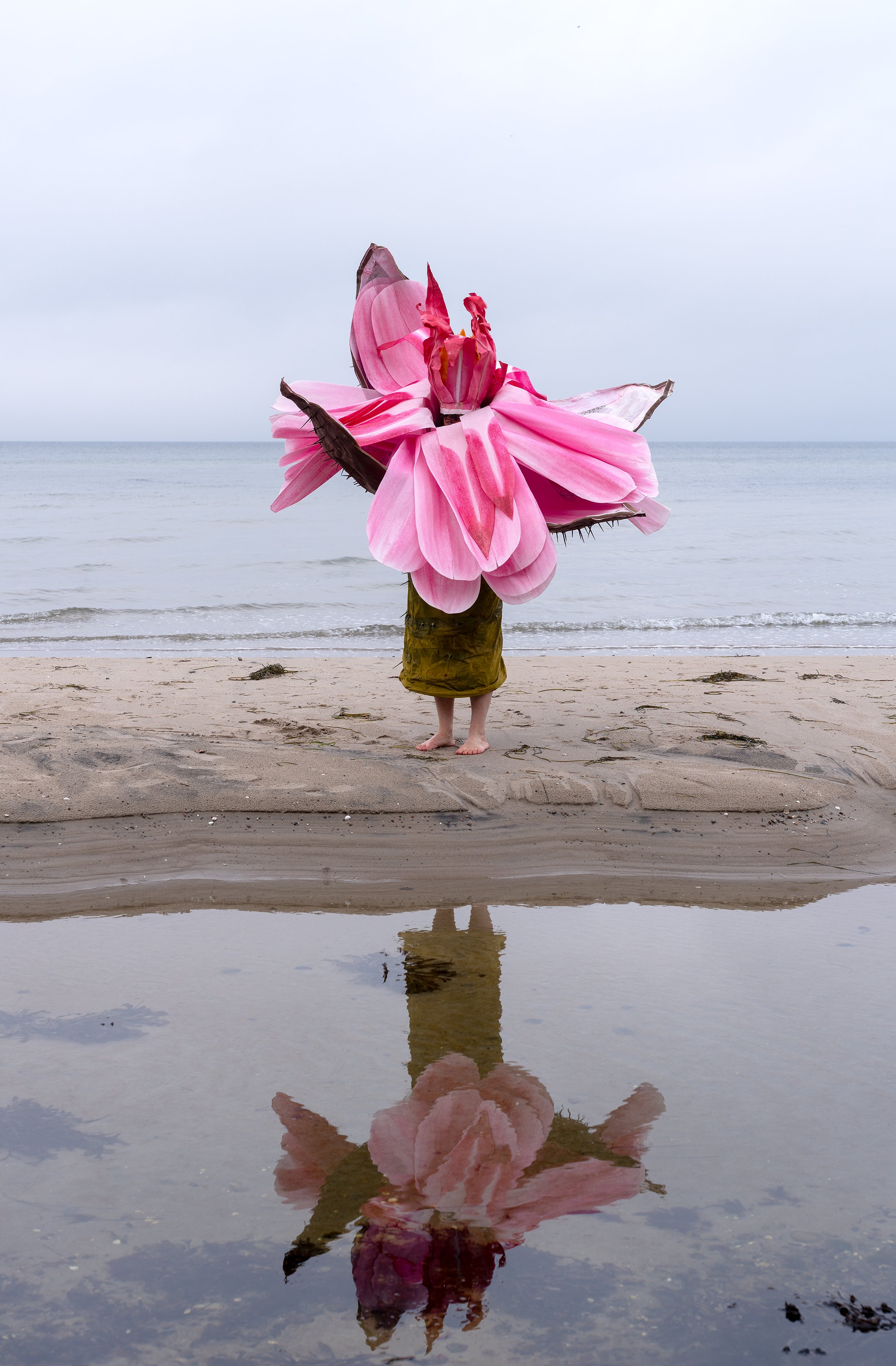 Ingela Ihrman: <em>Kæmpeåkanden Victoria Amazonica</em>. Foto: Lisa Grip.