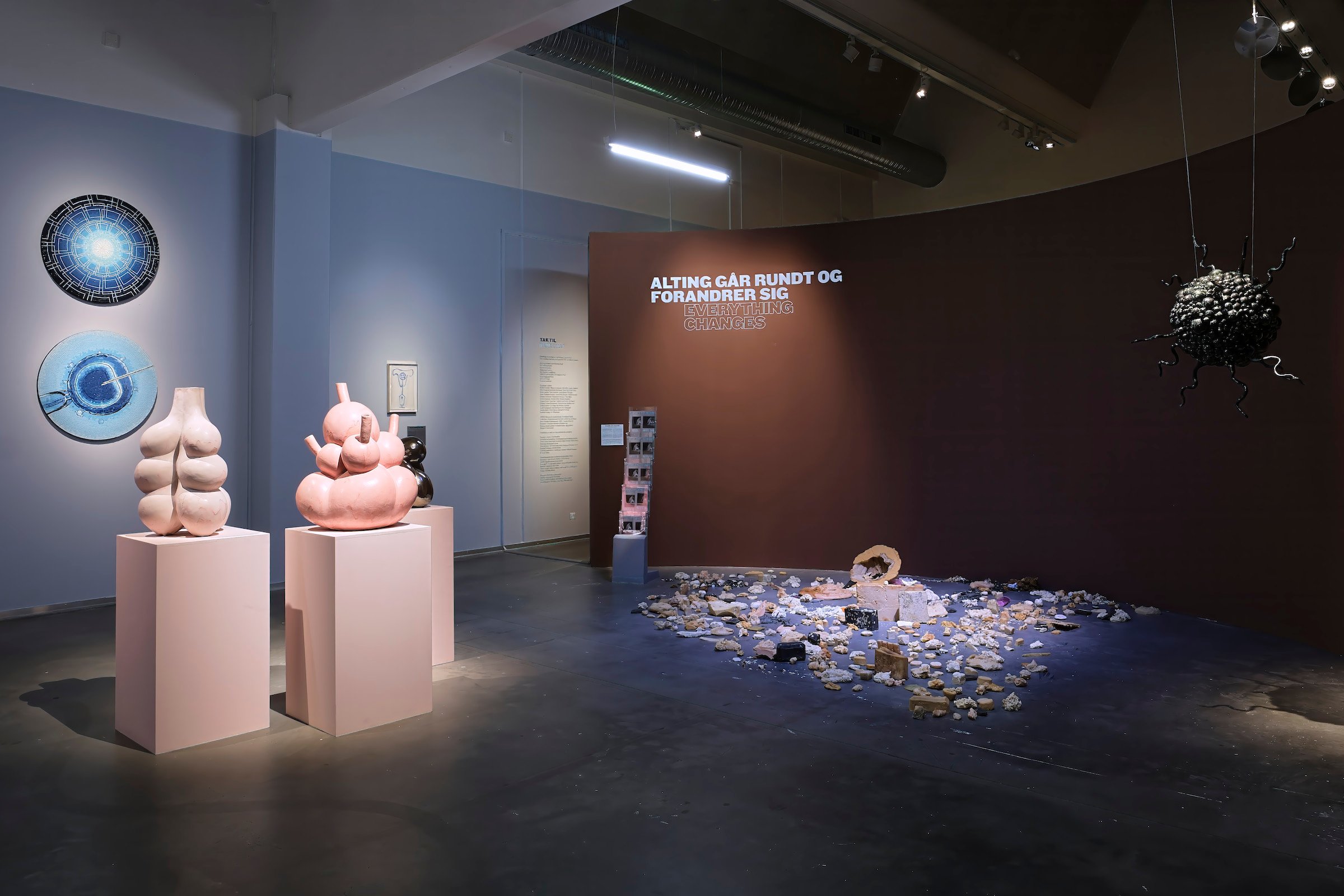 Installation view. Frugtbar, Vejle Kunstmuseum, 2025. Foto: Davy Denke, Rytter &amp; Denke