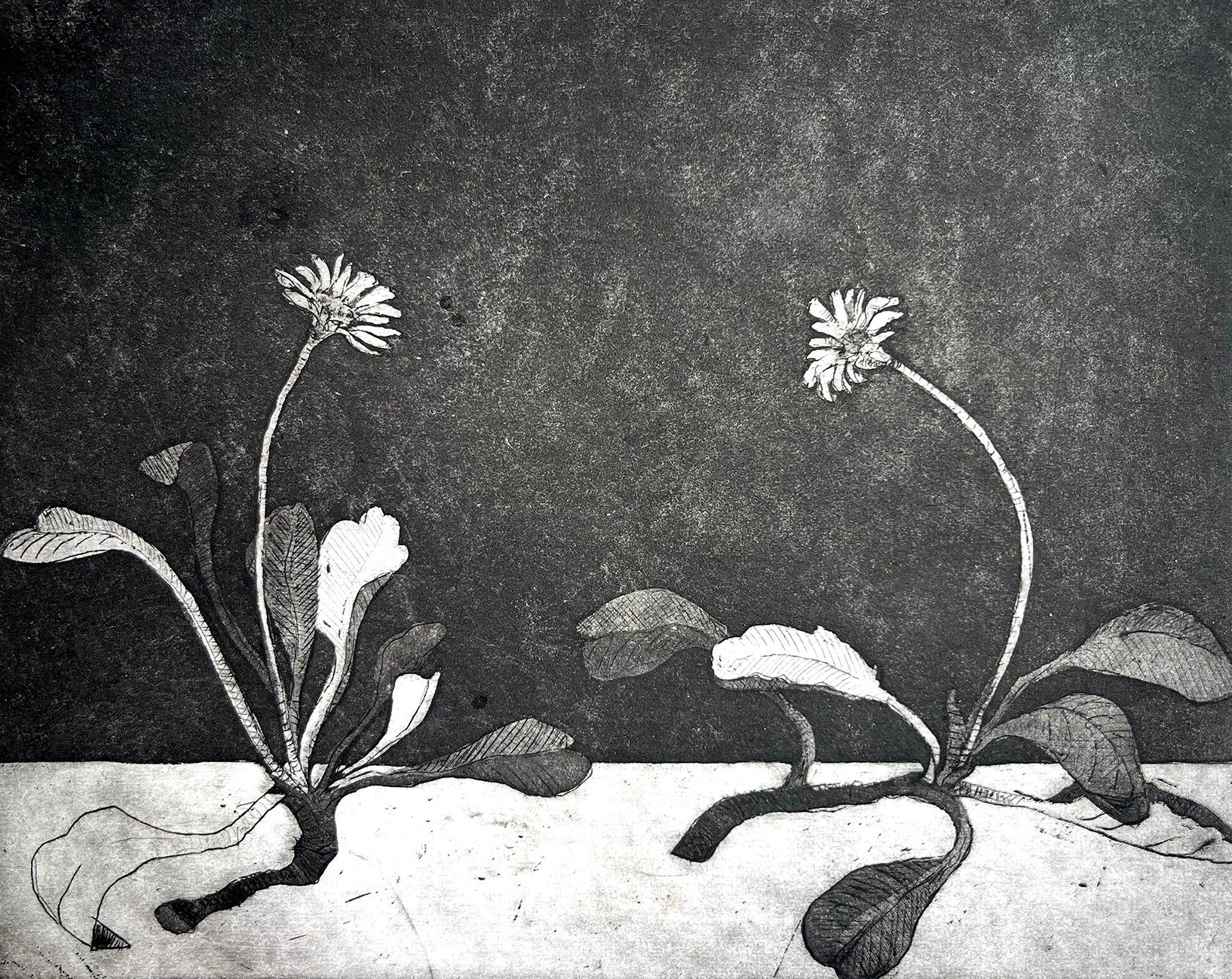 Foto: Ida Holm Mortensen