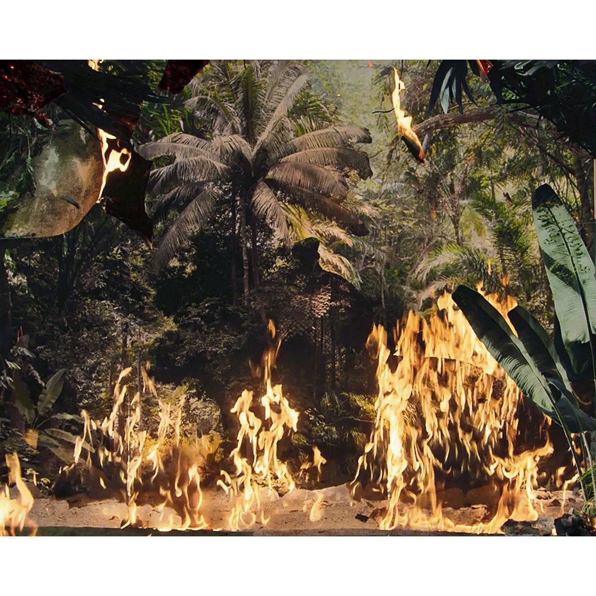 Foto: Noémie Goudal. <i>Below the Deep South</>. Video still </i>