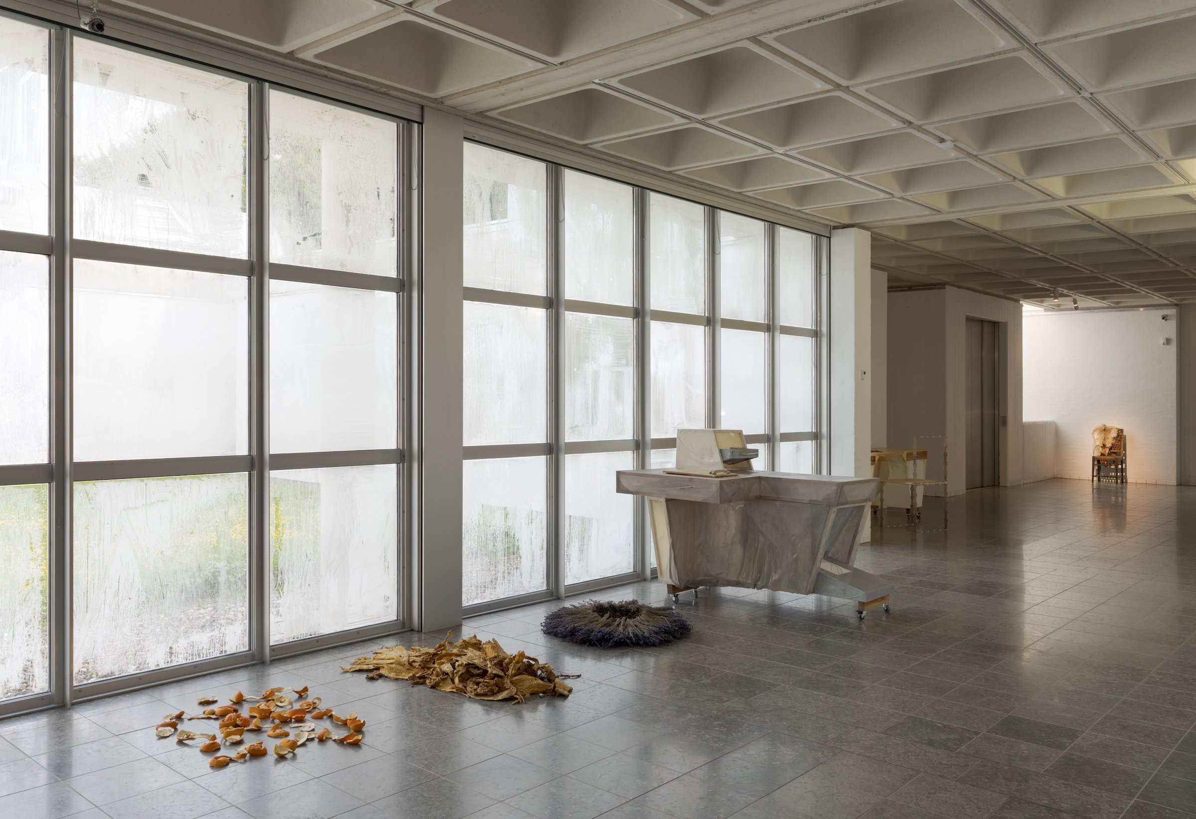 Foto: David Stjernholm 