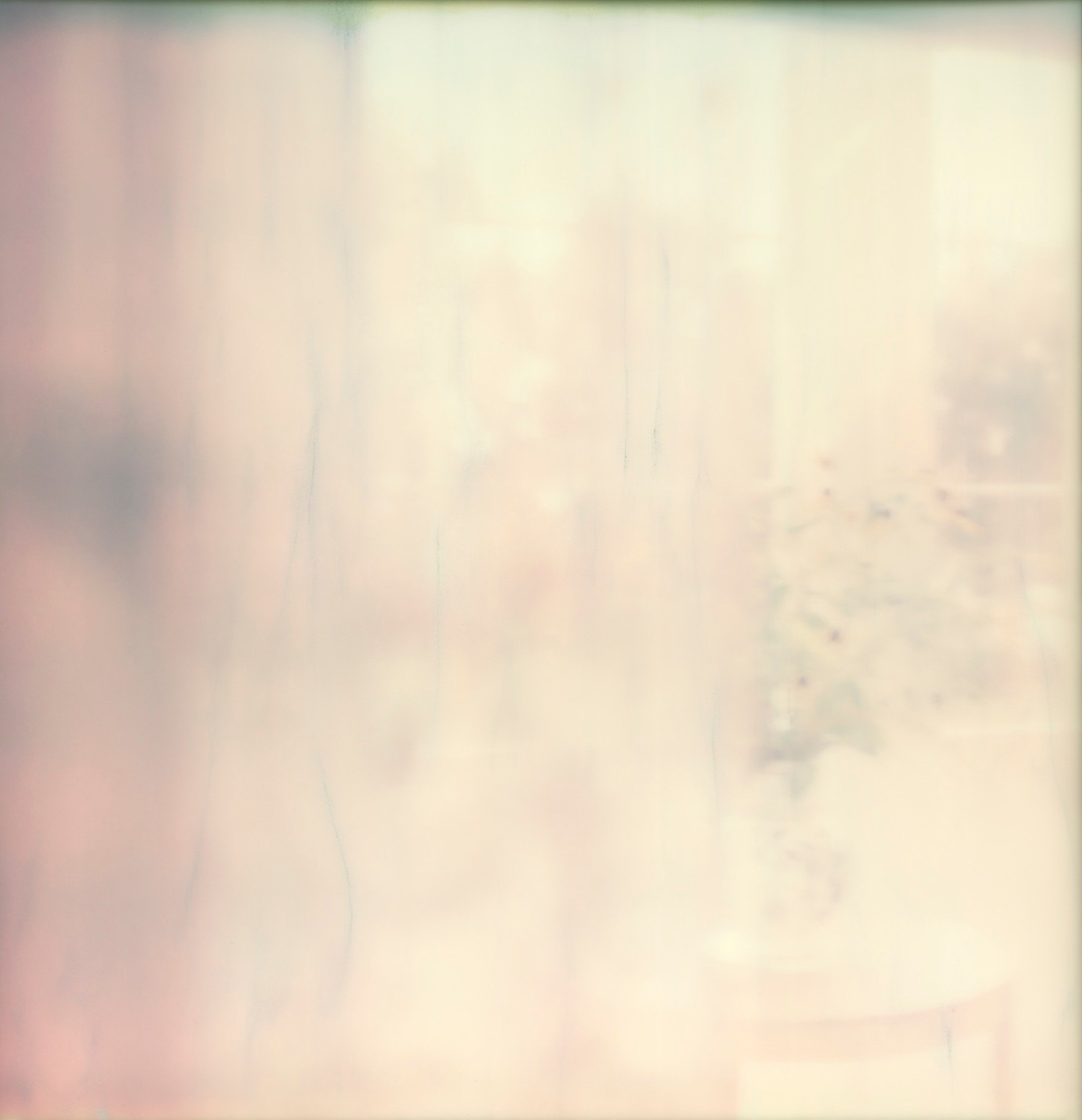 Astrid Kruse Jensen, Traces Of A New Beginning, 2025. Viborg Kunsthal. Værkfoto The World Opens Before You. Foto: ©AstridKruseJensen