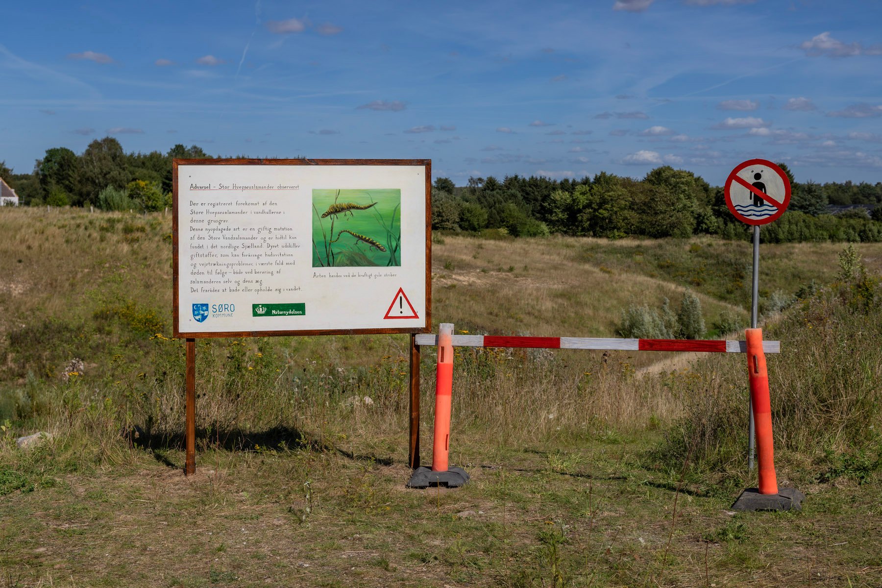 HARTMUT STOCKTER, OPERATION HVEPSESALAMANDER, 2025. Træ, stål, aluminium, oliemaling, net, mikroskop, dykkerdragt, afspærringsmateriale.Foto: Birk Thomassen.