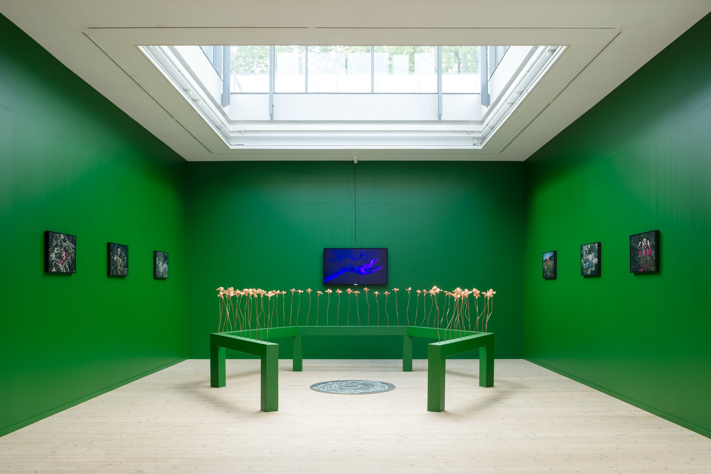 Installationsfoto, <i>Bugs & Metamorphosis</i>, Kunsthal Aarhus, 2025. Foto: Jacob Friis-Holm Nielsen.