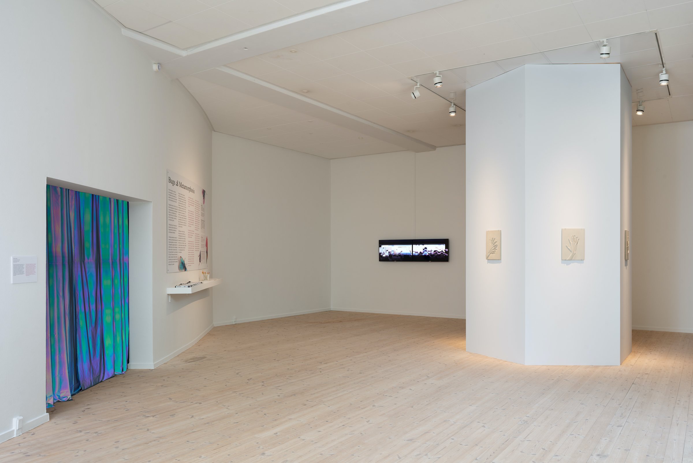 Installationsfoto, Bugs &amp; Metamorphosis, Kunsthal Aarhus, 2025. Foto: Jacob Friis-Holm Nielsen.