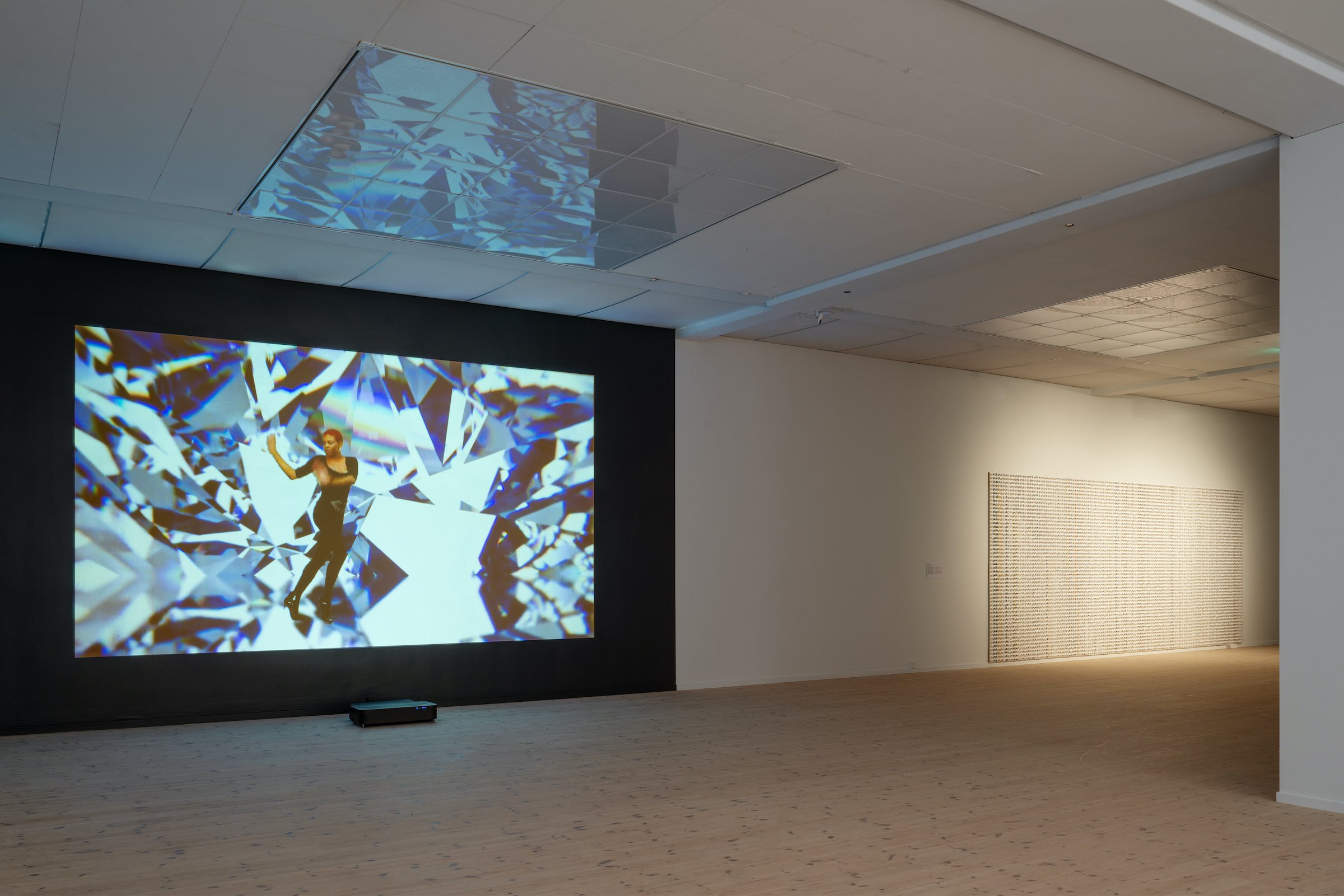 Installationsfoto, Bugs &amp; Metamorphosis, Kunsthal Aarhus, 2025. Foto: Jacob Friis-Holm Nielsen.