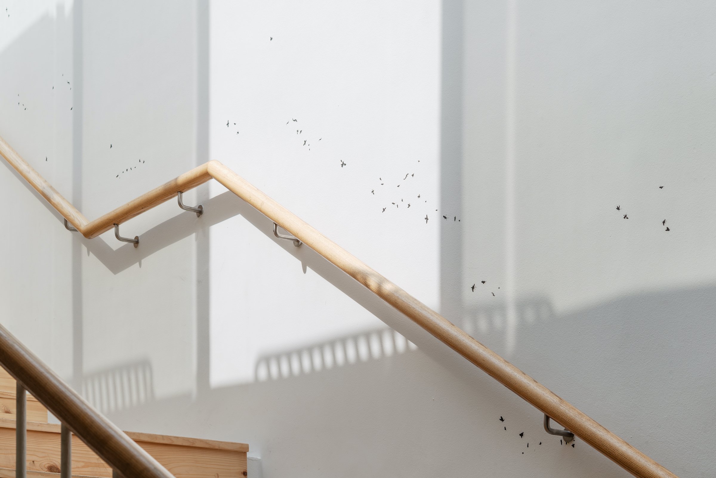 Installationsfoto, Bugs &amp; Metamorphosis, Kunsthal Aarhus, 2025. Foto: Jacob Friis-Holm Nielsen.