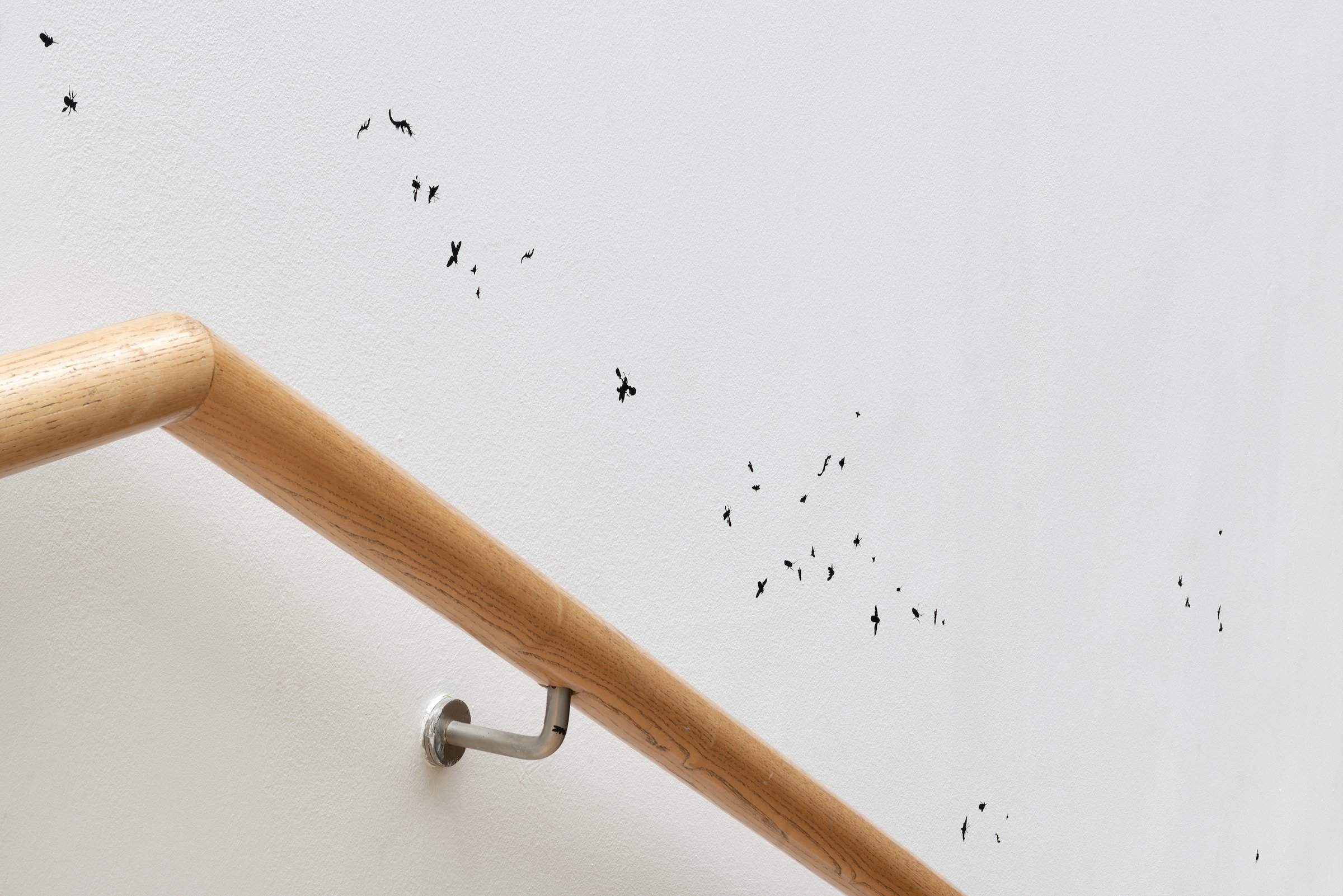 Installationsfoto, Bugs &amp; Metamorphosis, Kunsthal Aarhus, 2025. Foto: Jacob Friis-Holm Nielsen.