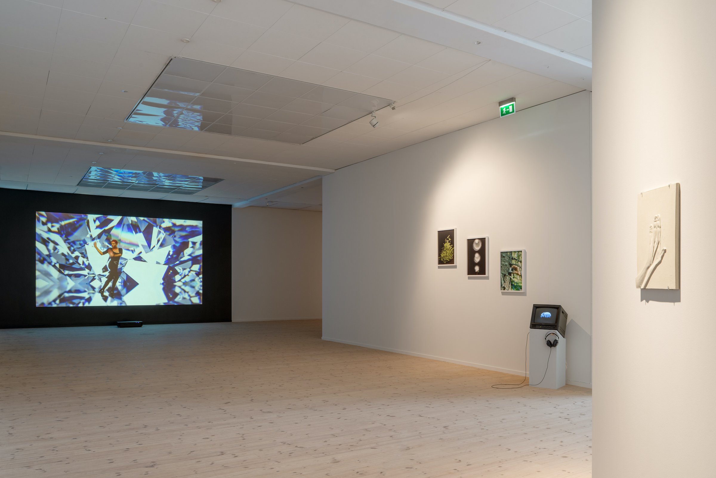 Installationsfoto, Bugs &amp; Metamorphosis, Kunsthal Aarhus, 2025. Foto: Jacob Friis-Holm Nielsen.