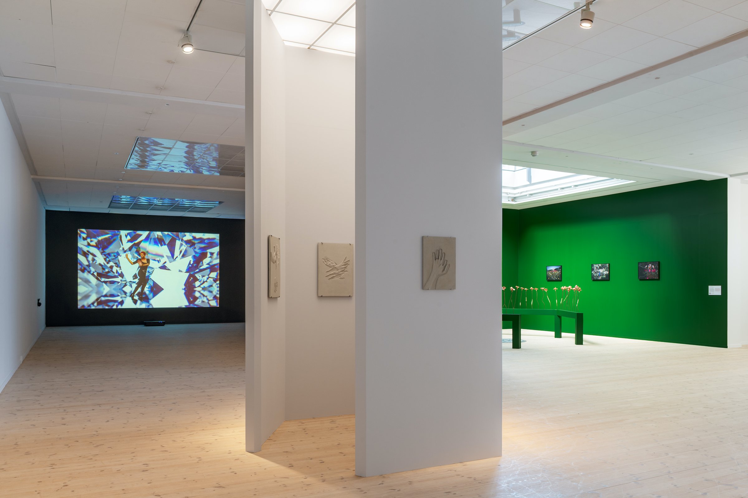 Installationsfoto, <i>Bugs & Metamorphosis</i>, Kunsthal Aarhus, 2025. Foto: Jacob Friis-Holm Nielsen.